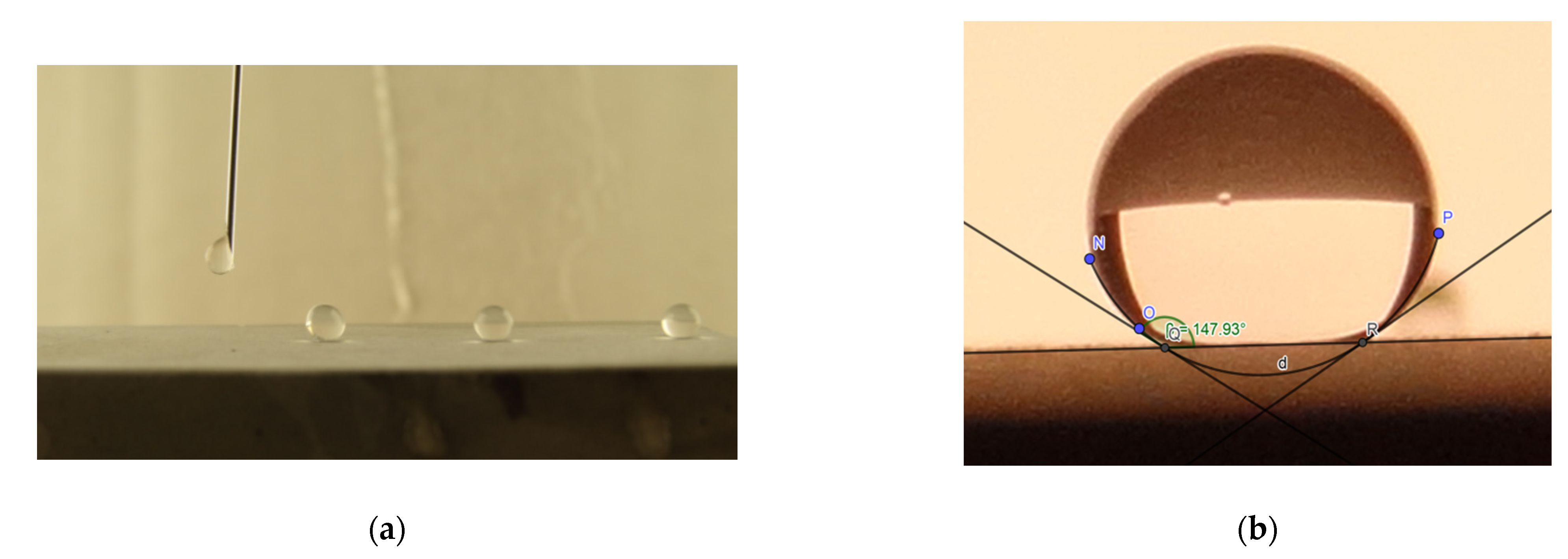 Coatings 13 00537 g003