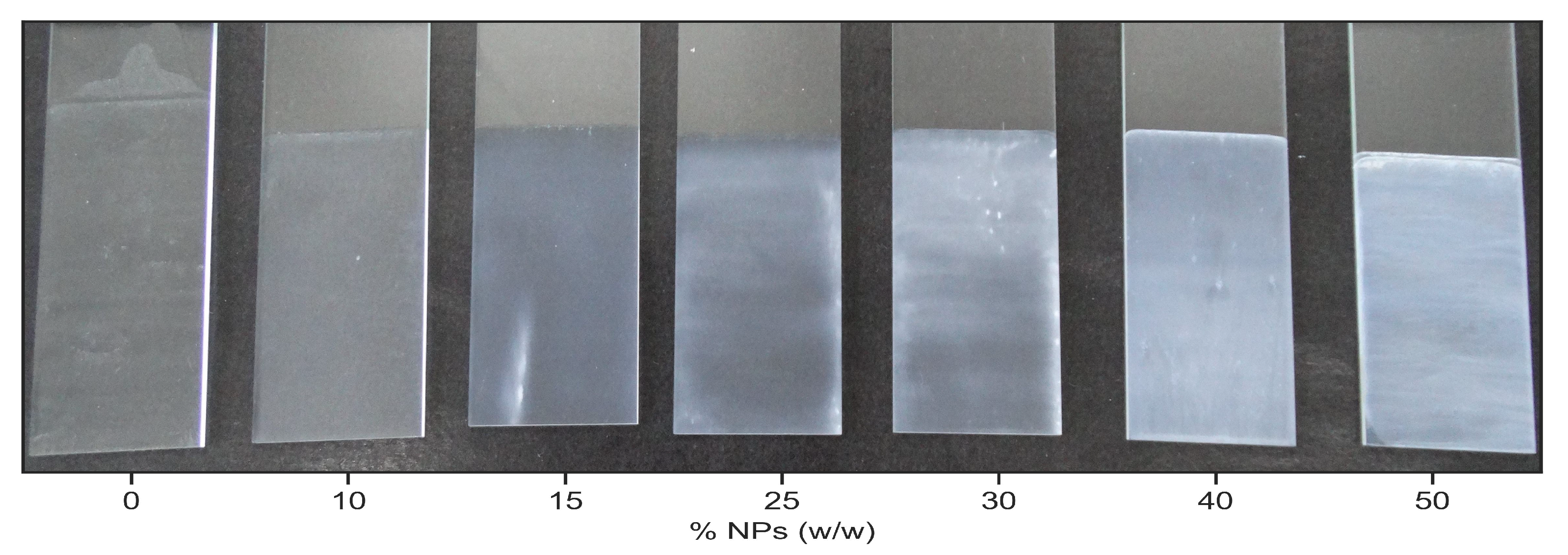 Coatings 13 00537 g005