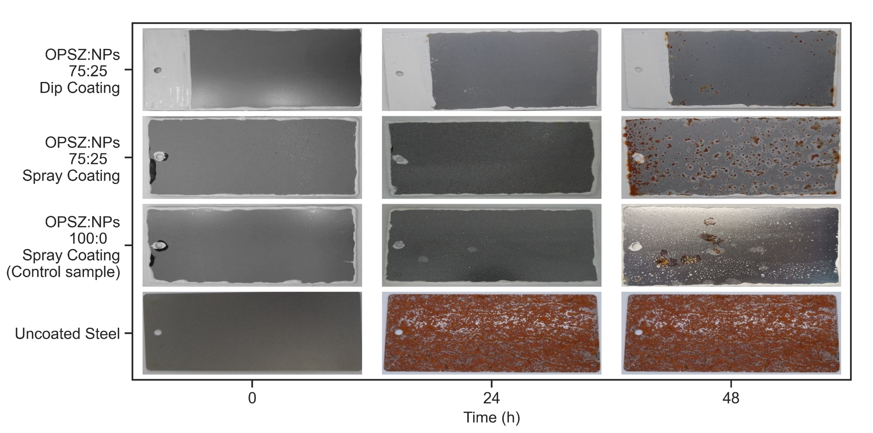 Coatings 13 00537 g008