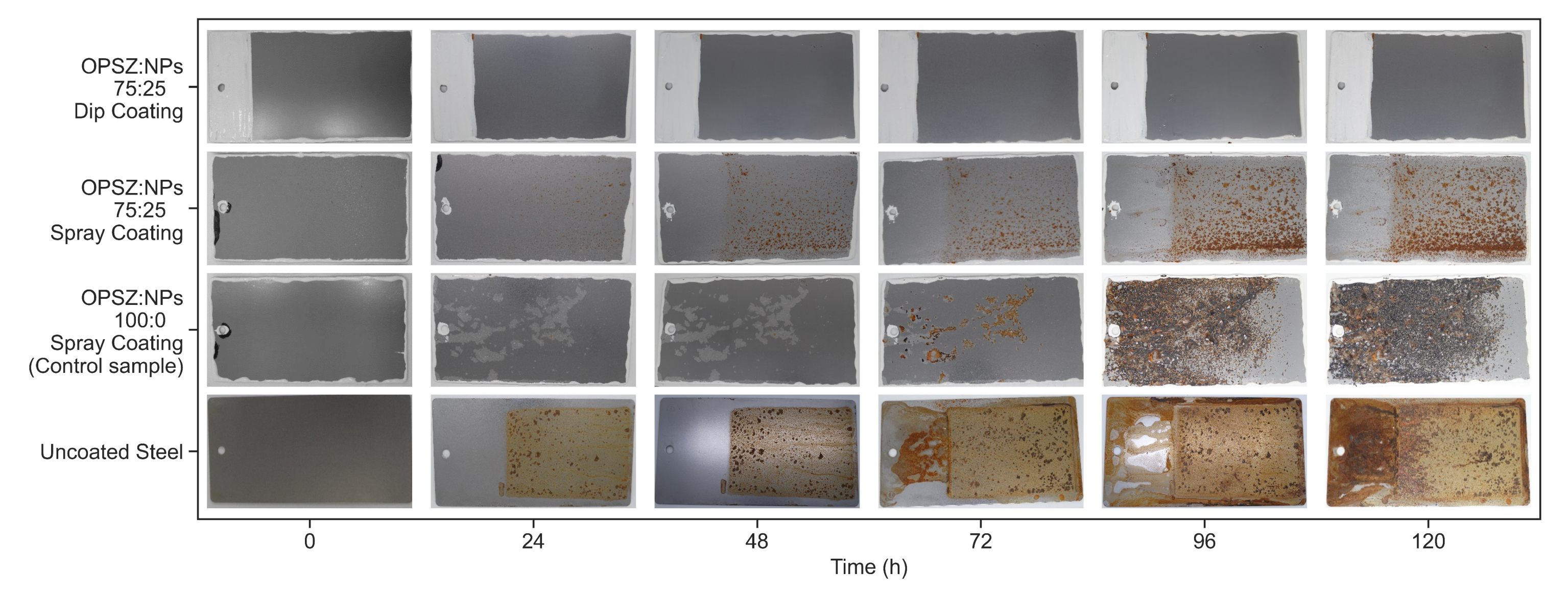 Coatings 13 00537 g010