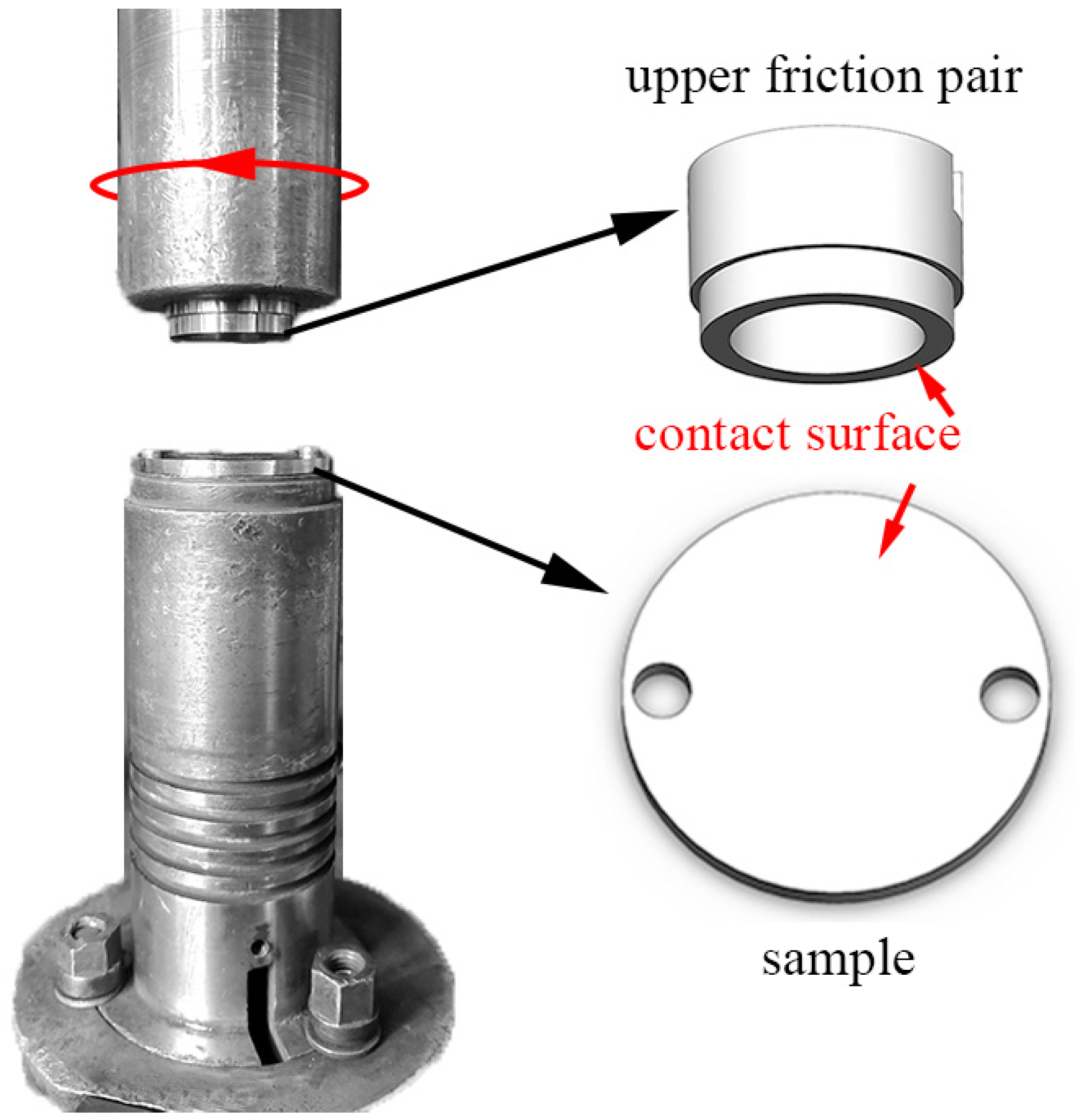 Coatings 13 00539 g002