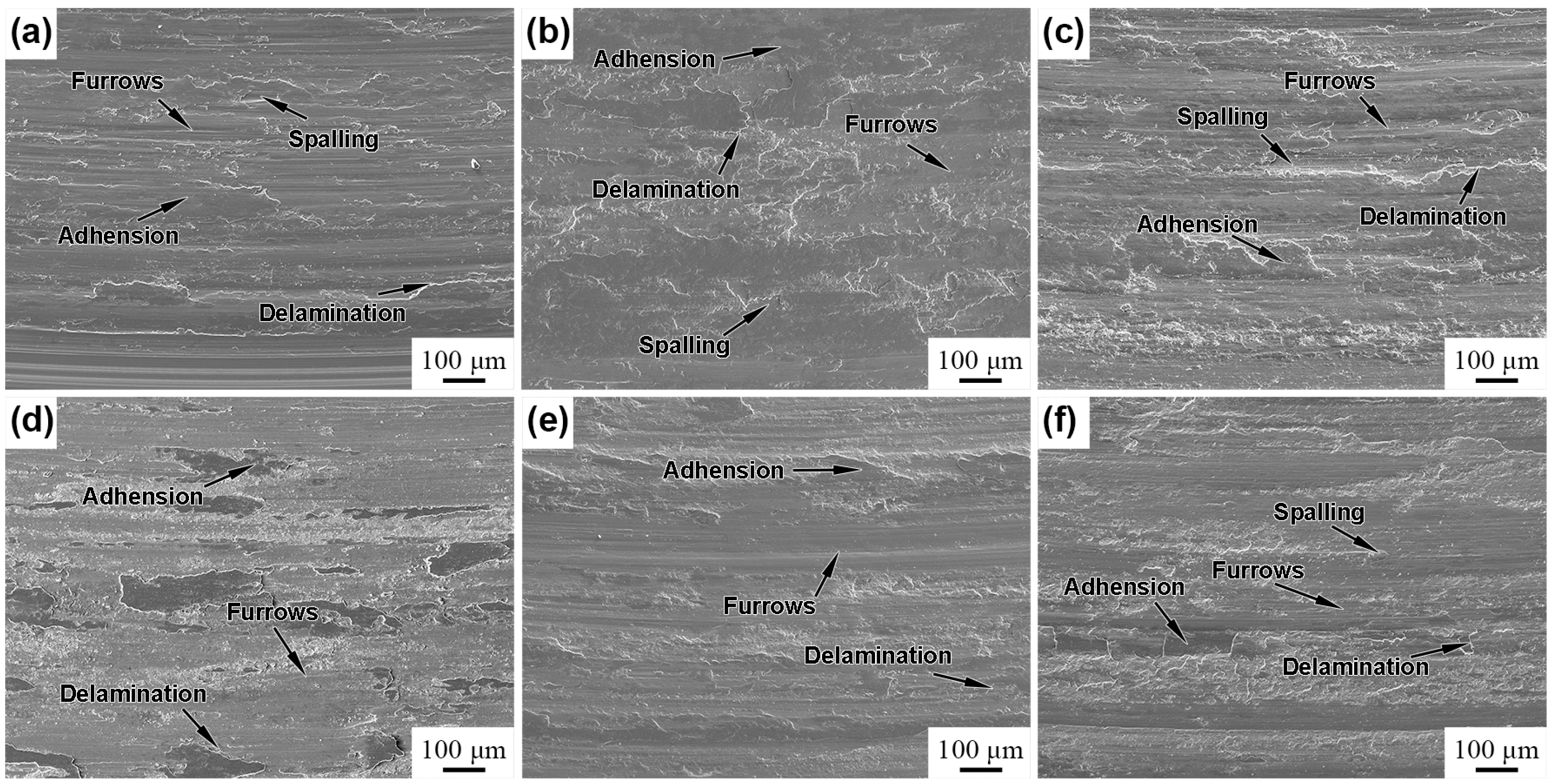Coatings 13 00539 g010