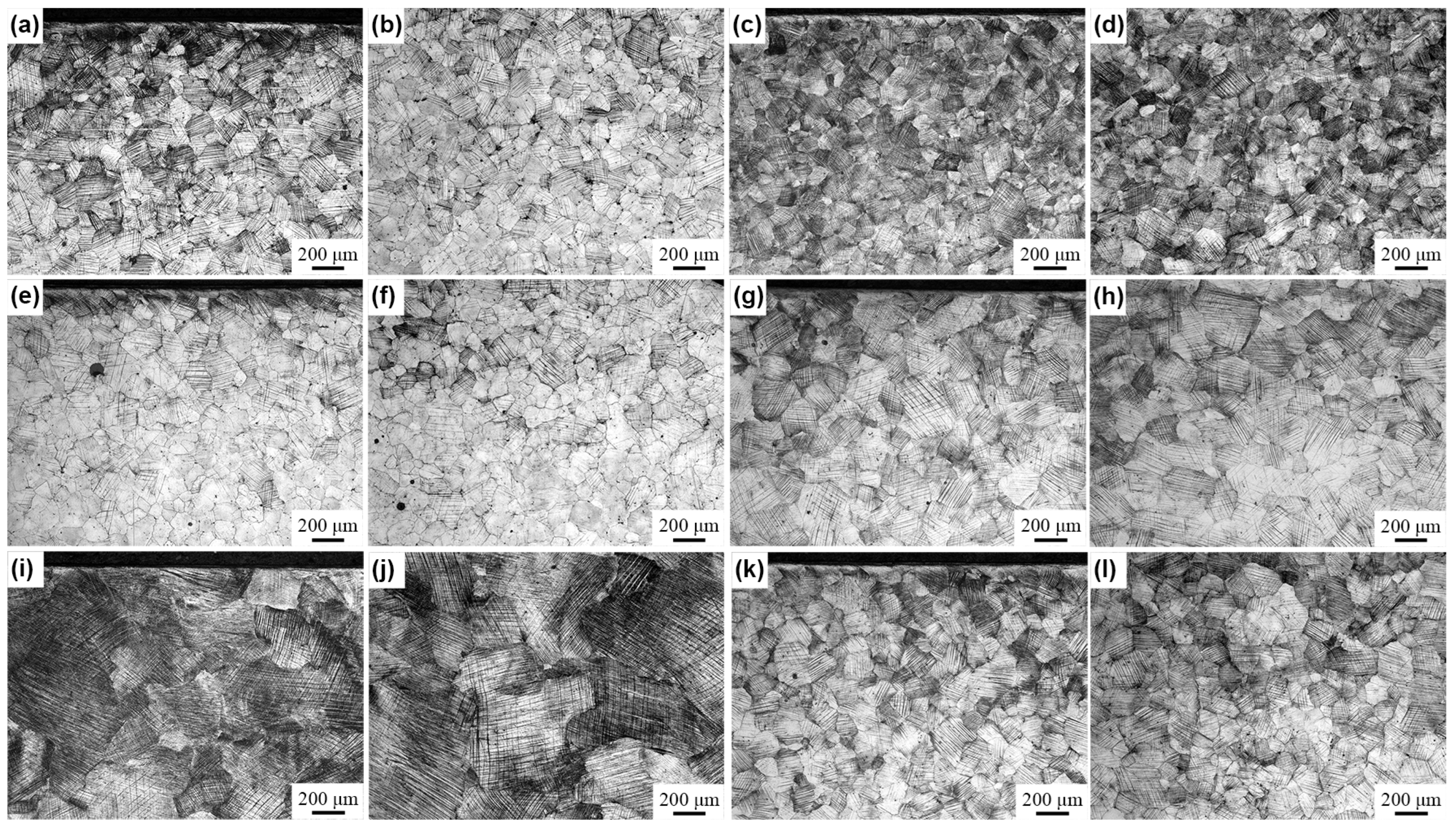 Coatings 13 00539 g011