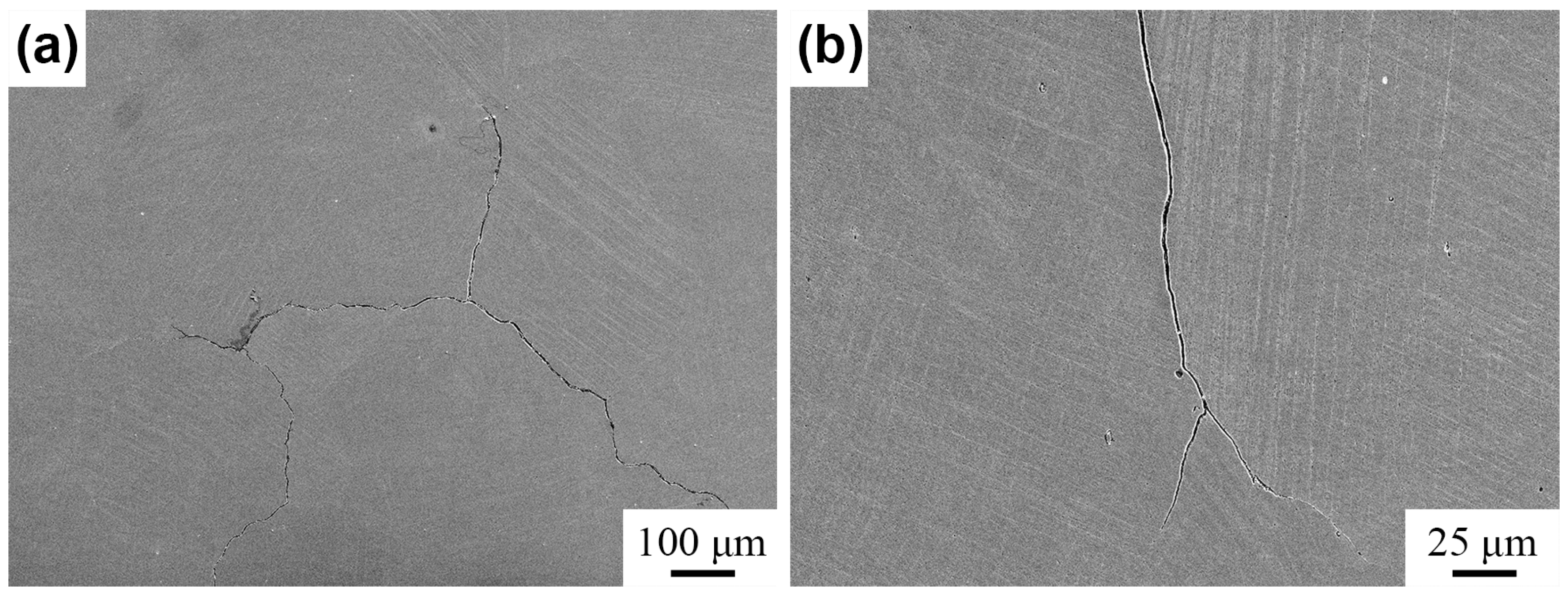 Coatings 13 00539 g012