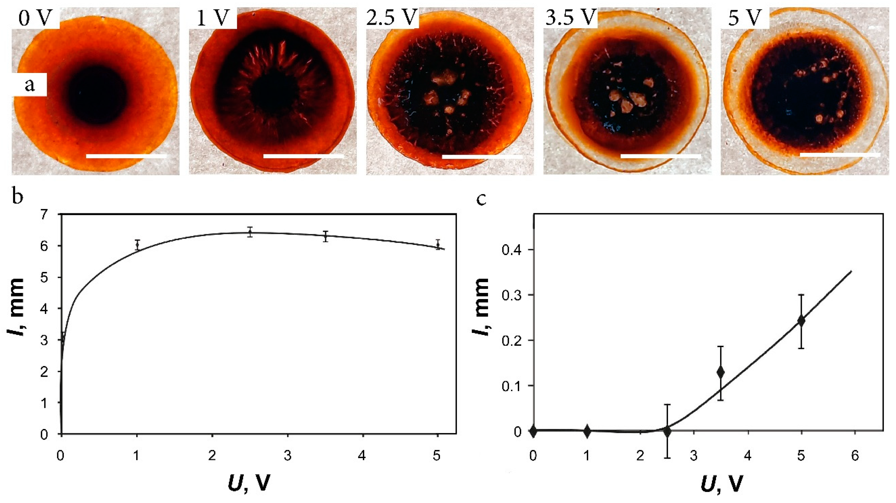Coatings 13 00540 g005