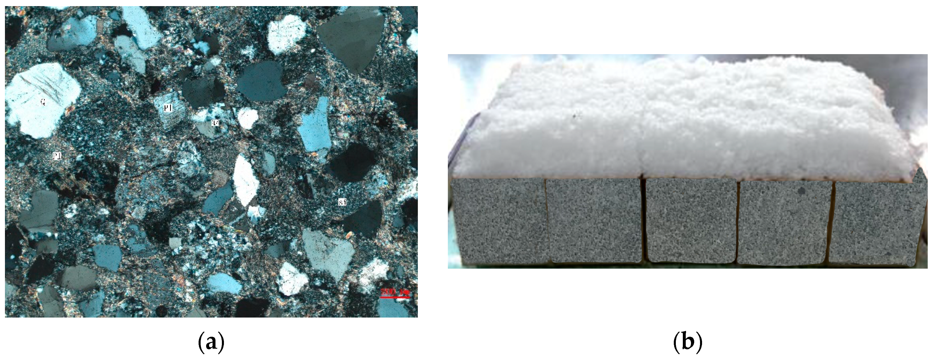 Coatings 13 00543 g003 Coatings 13 00543 g003