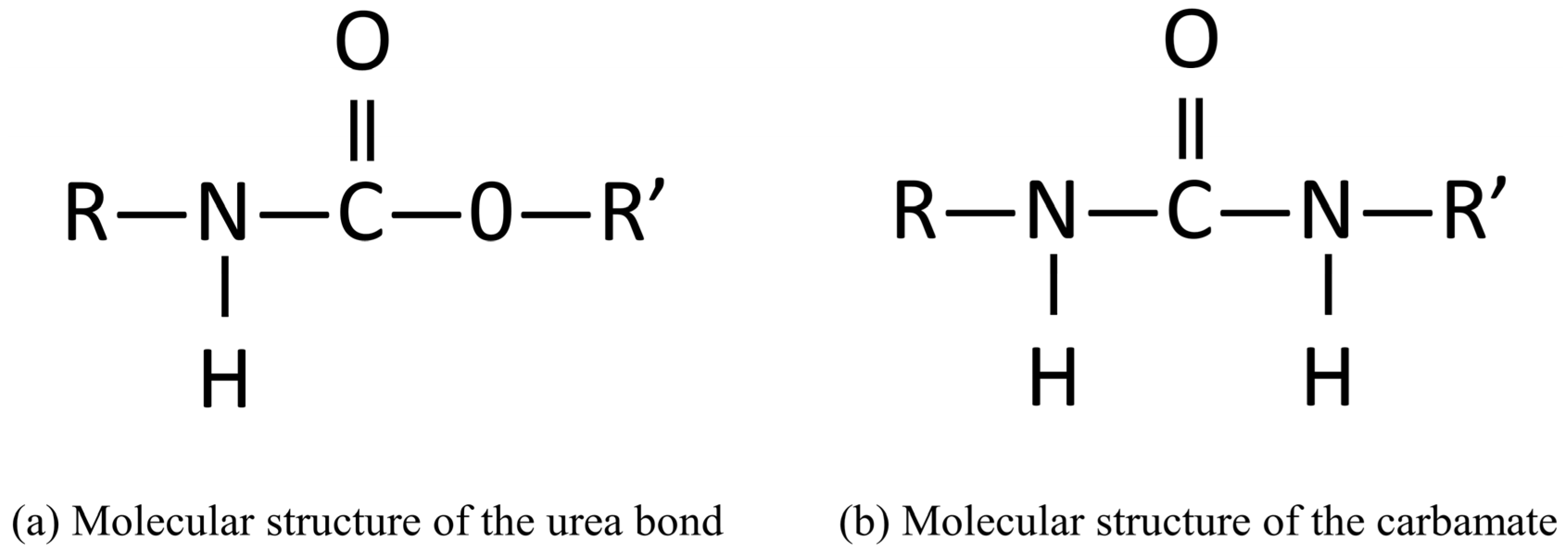 Coatings 13 00544 g001