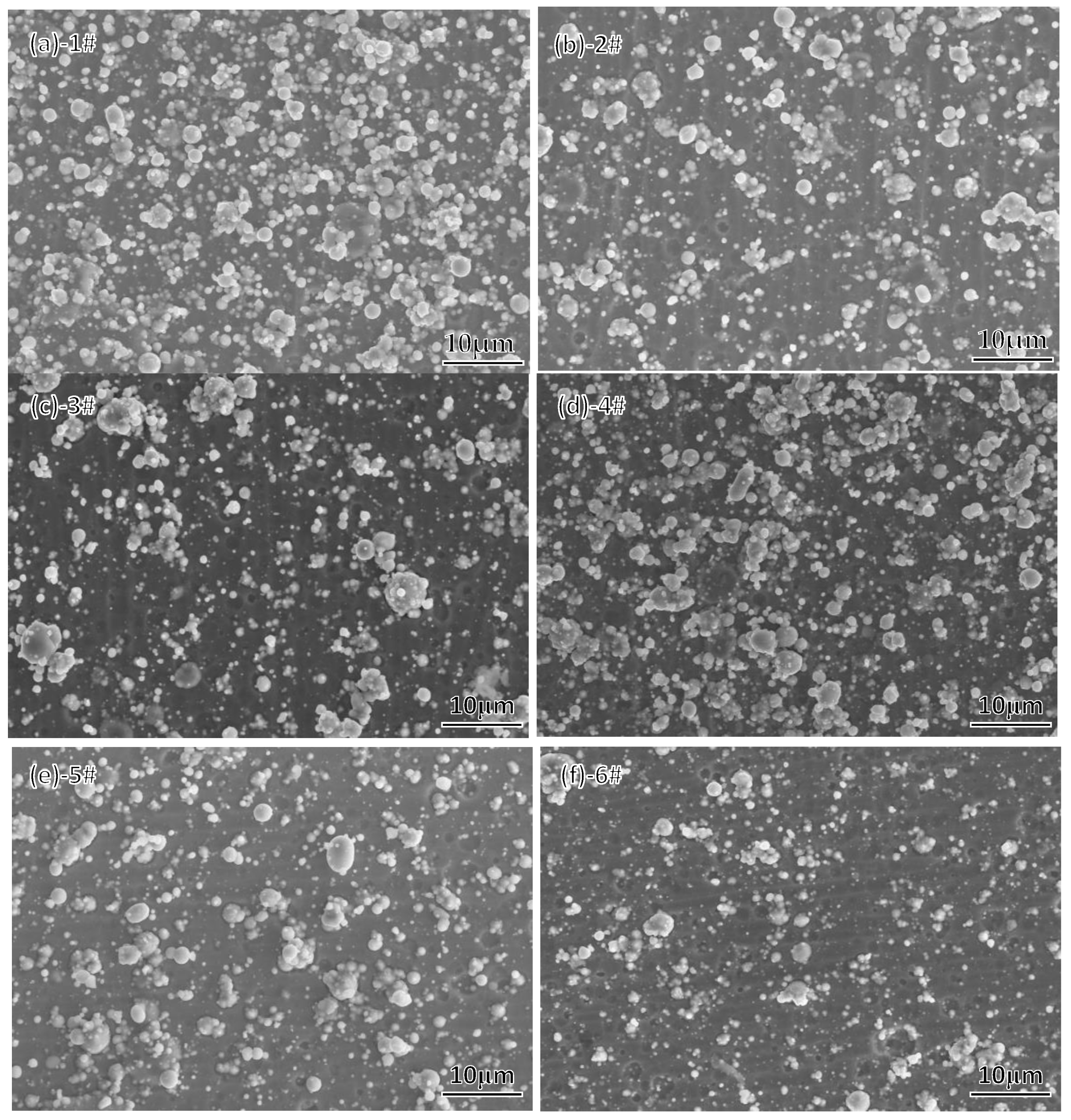 Coatings 13 00547 g002