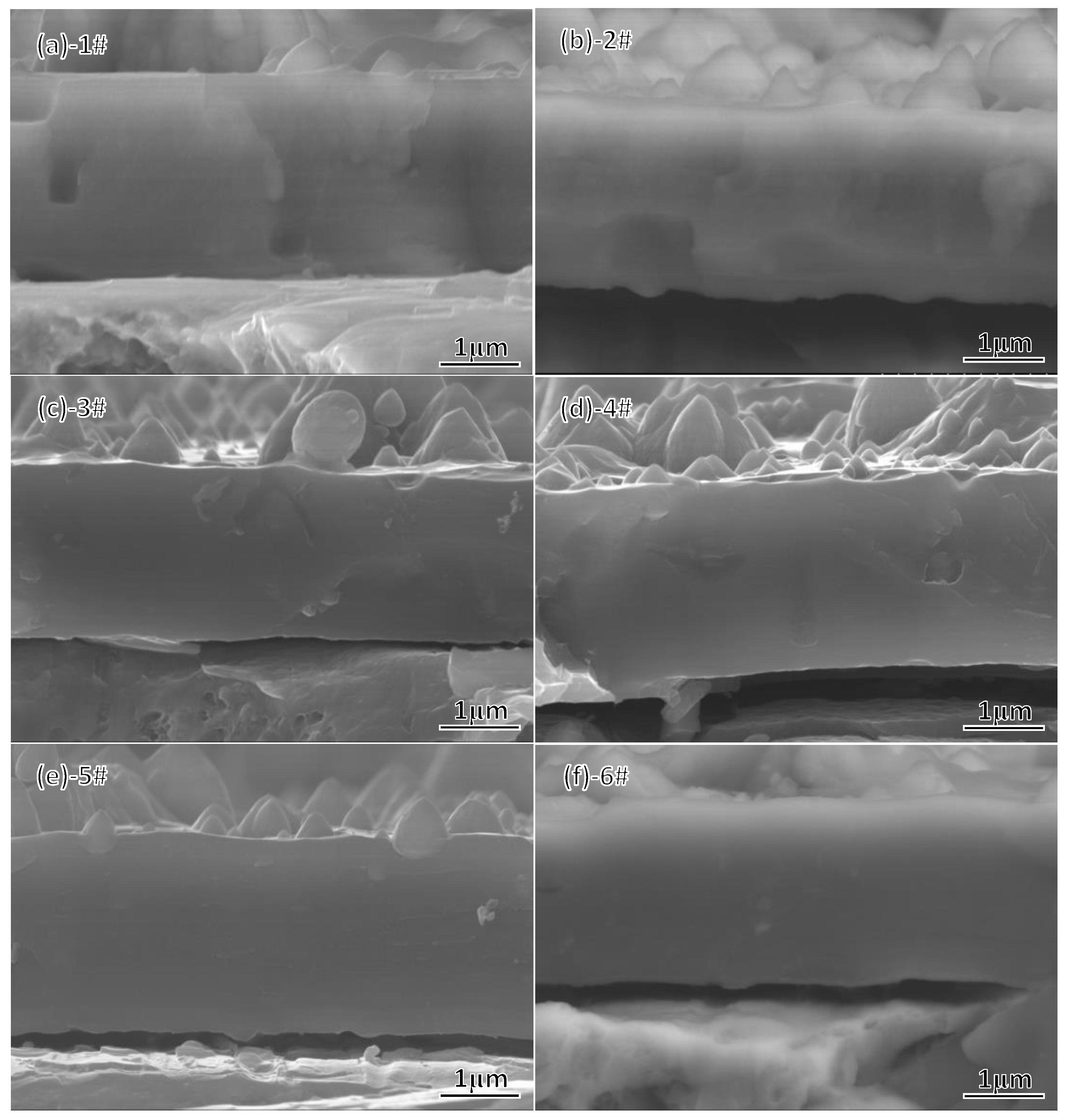 Coatings 13 00547 g005