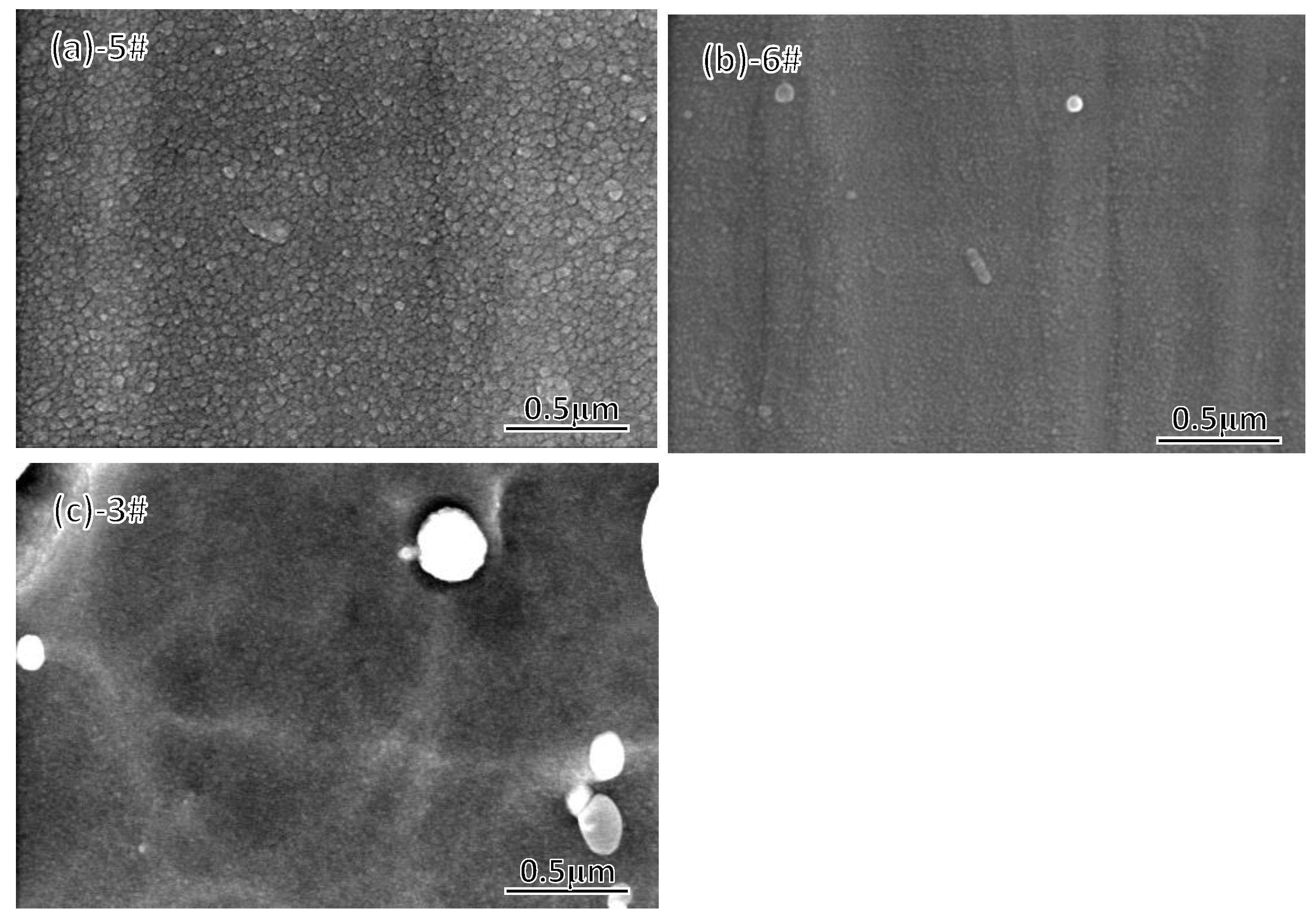 Coatings 13 00547 g006