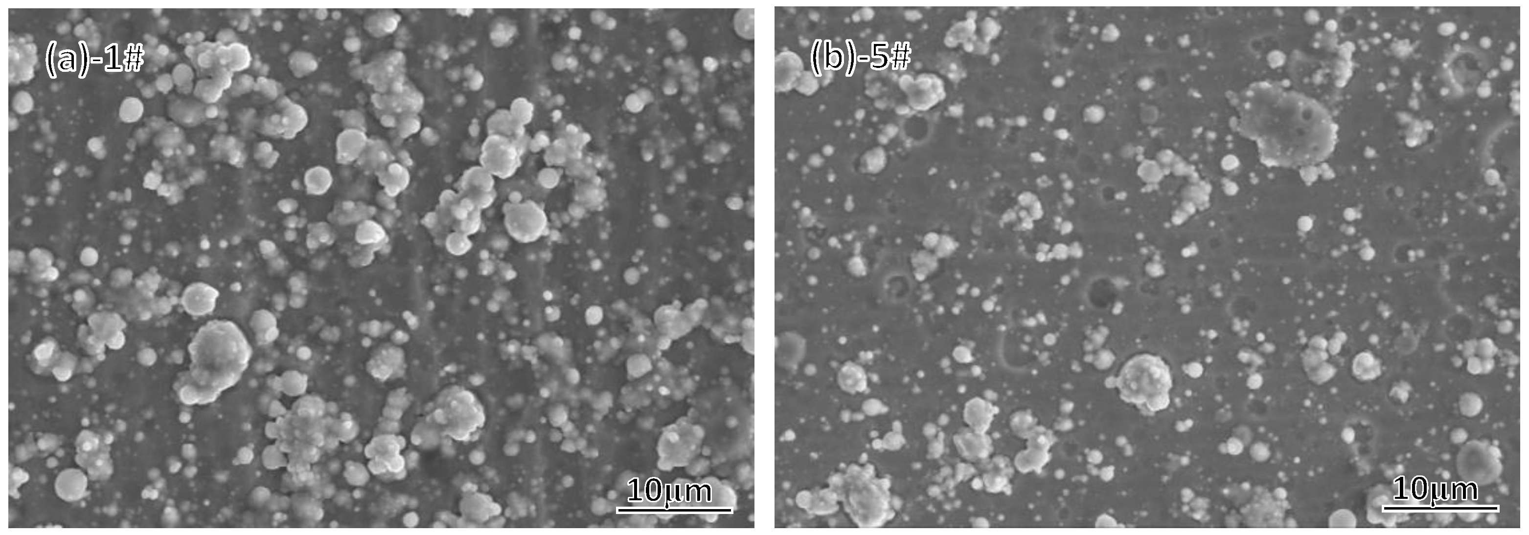 Coatings 13 00547 g011