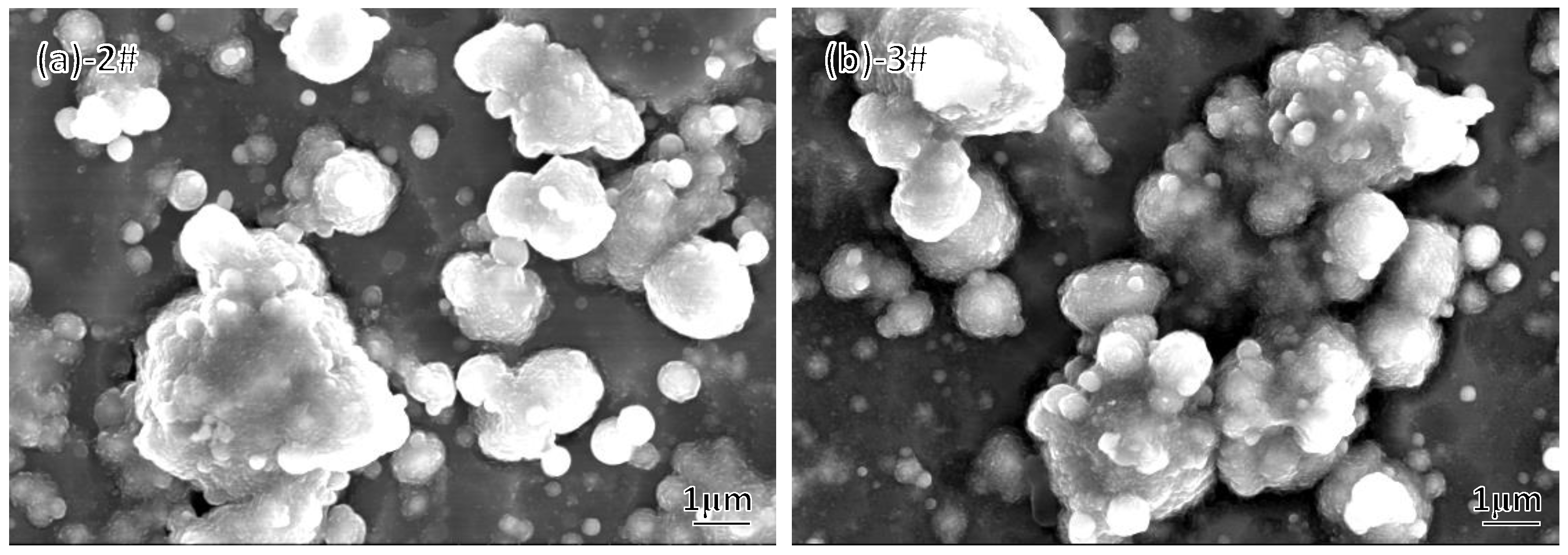 Coatings 13 00547 g012