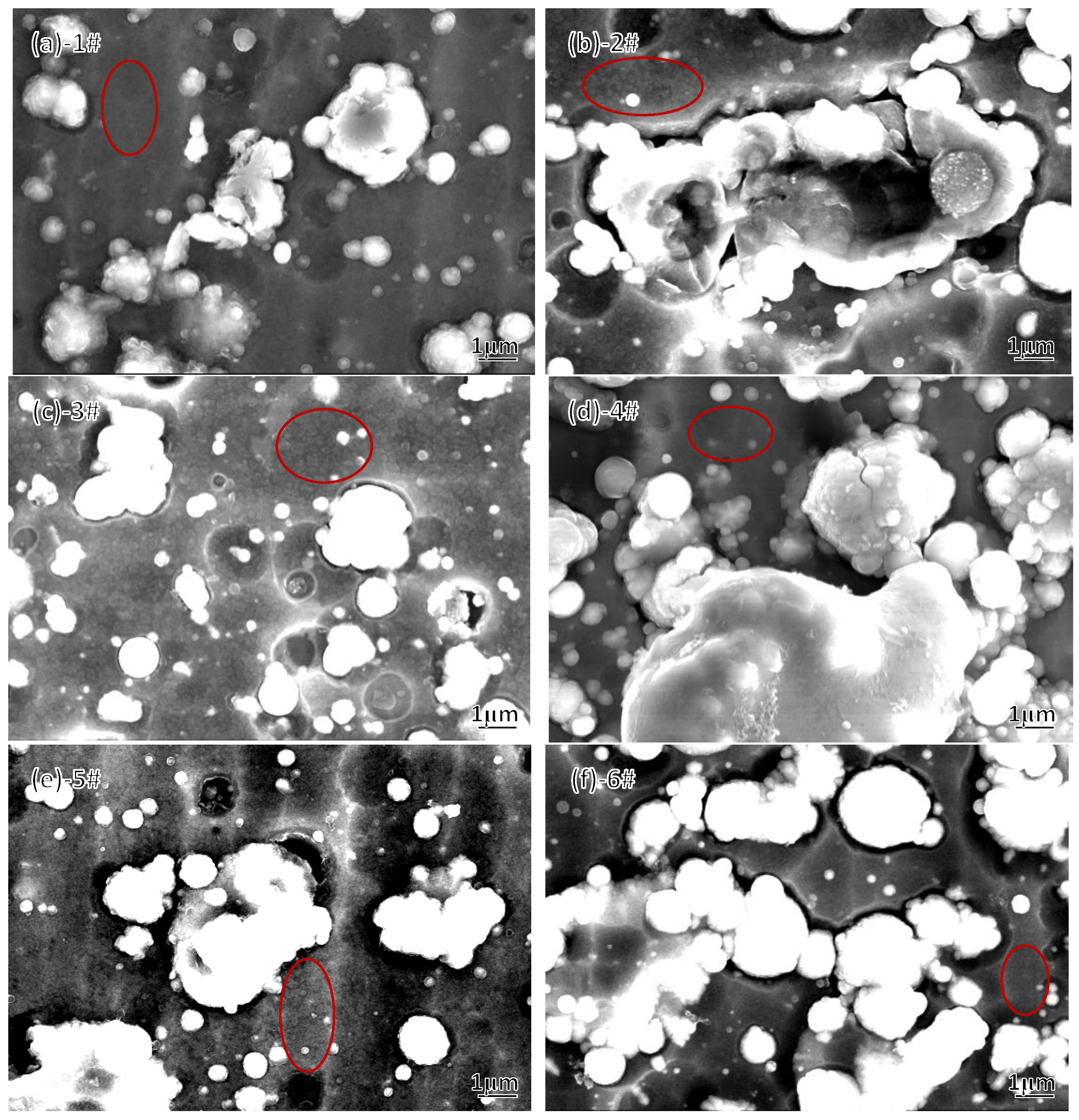 Coatings 13 00547 g013