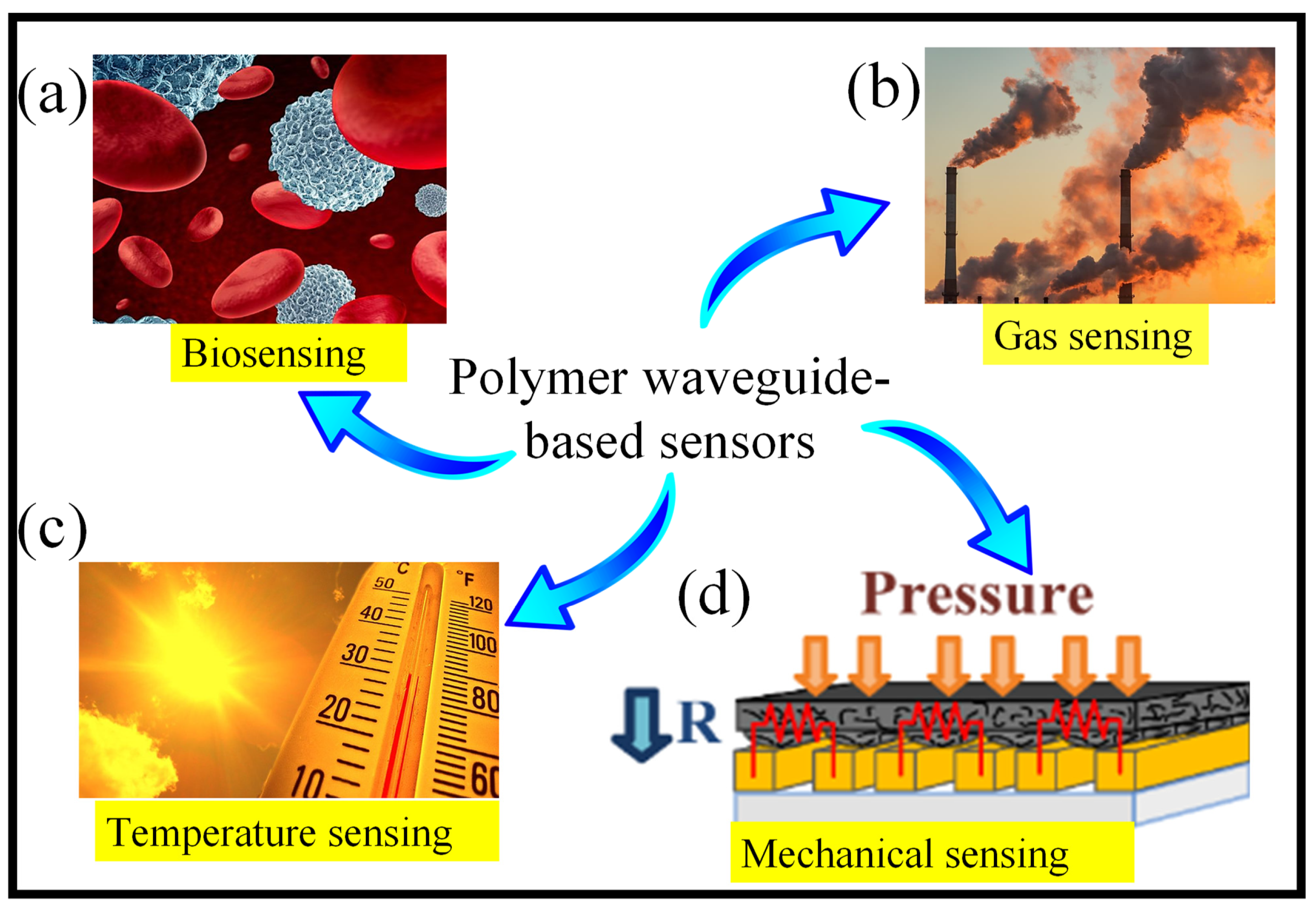 Coatings 13 00549 g002
