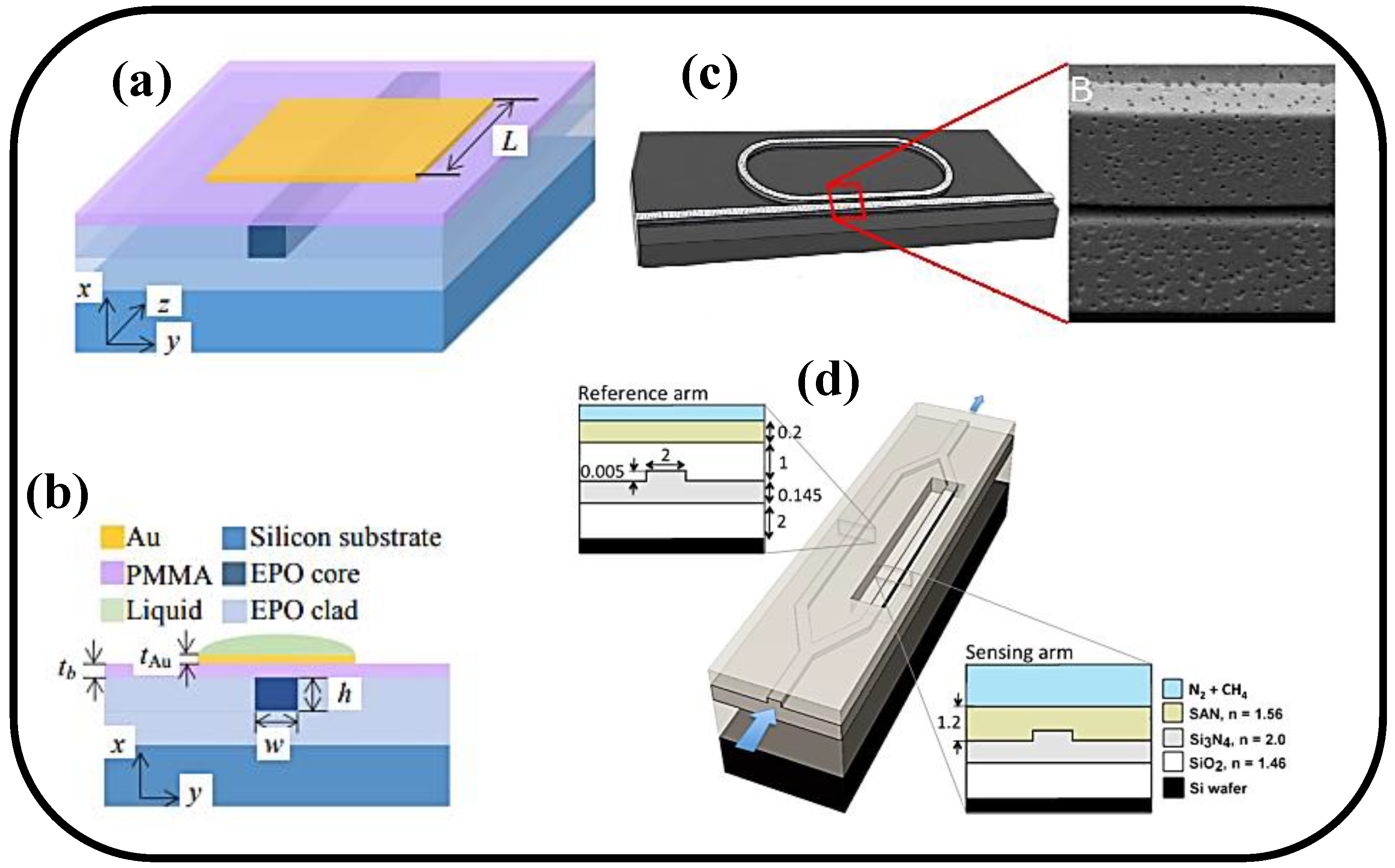 Coatings 13 00549 g004