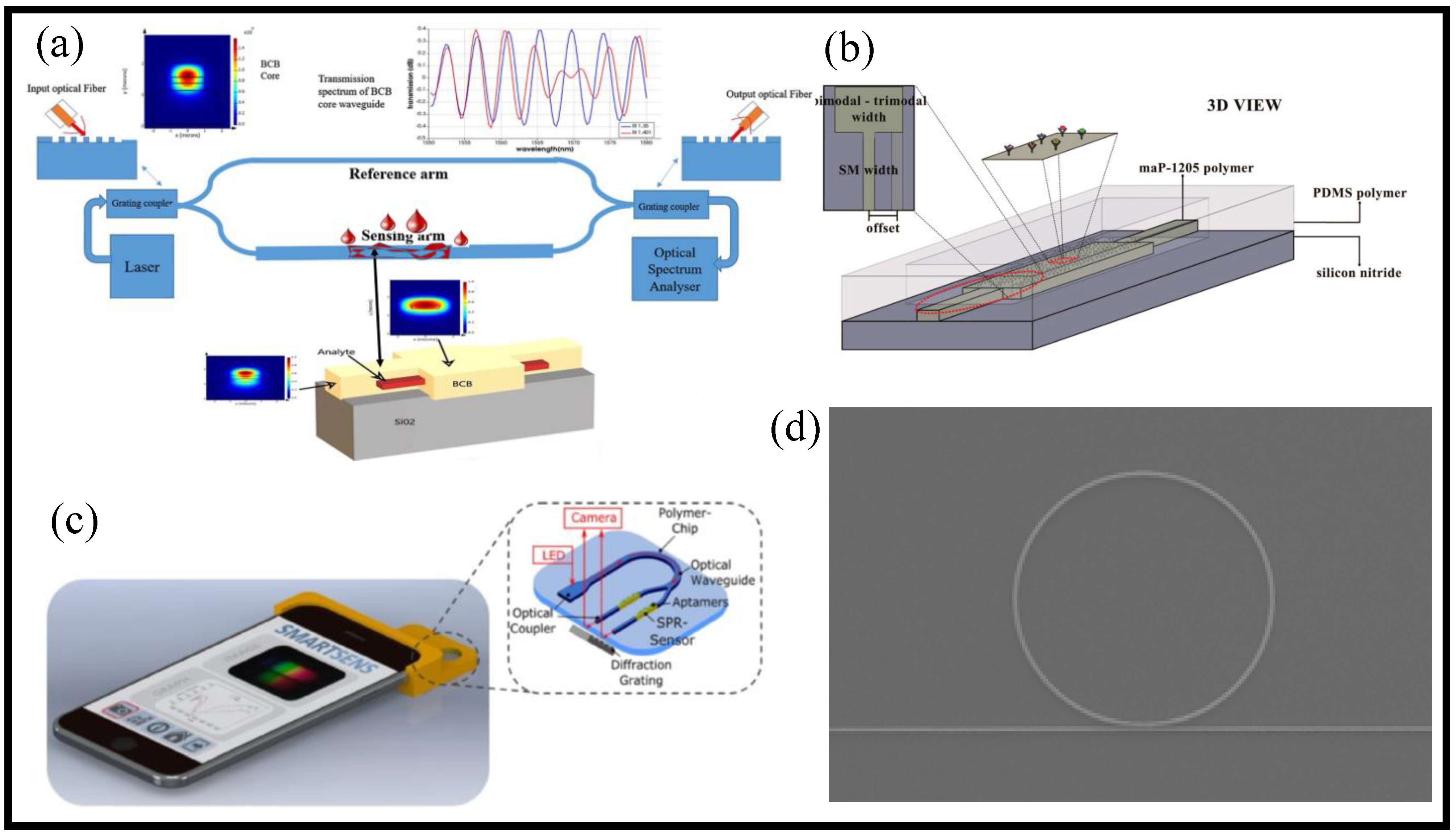 Coatings 13 00549 g006