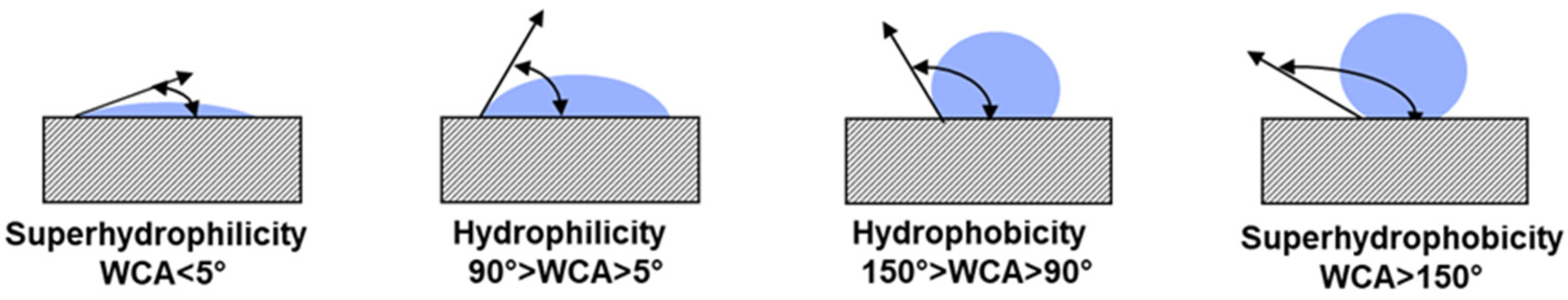Coatings 13 00551 g002