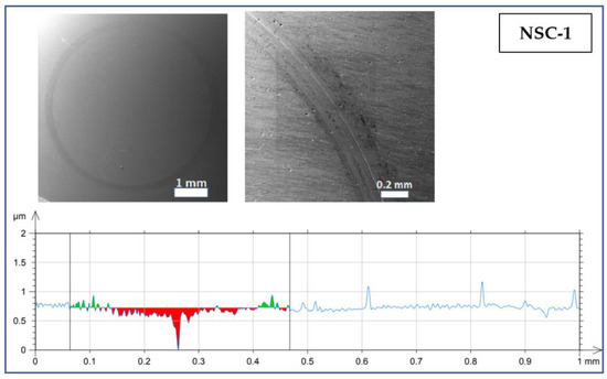 Coatings 13 00552 g0a1a