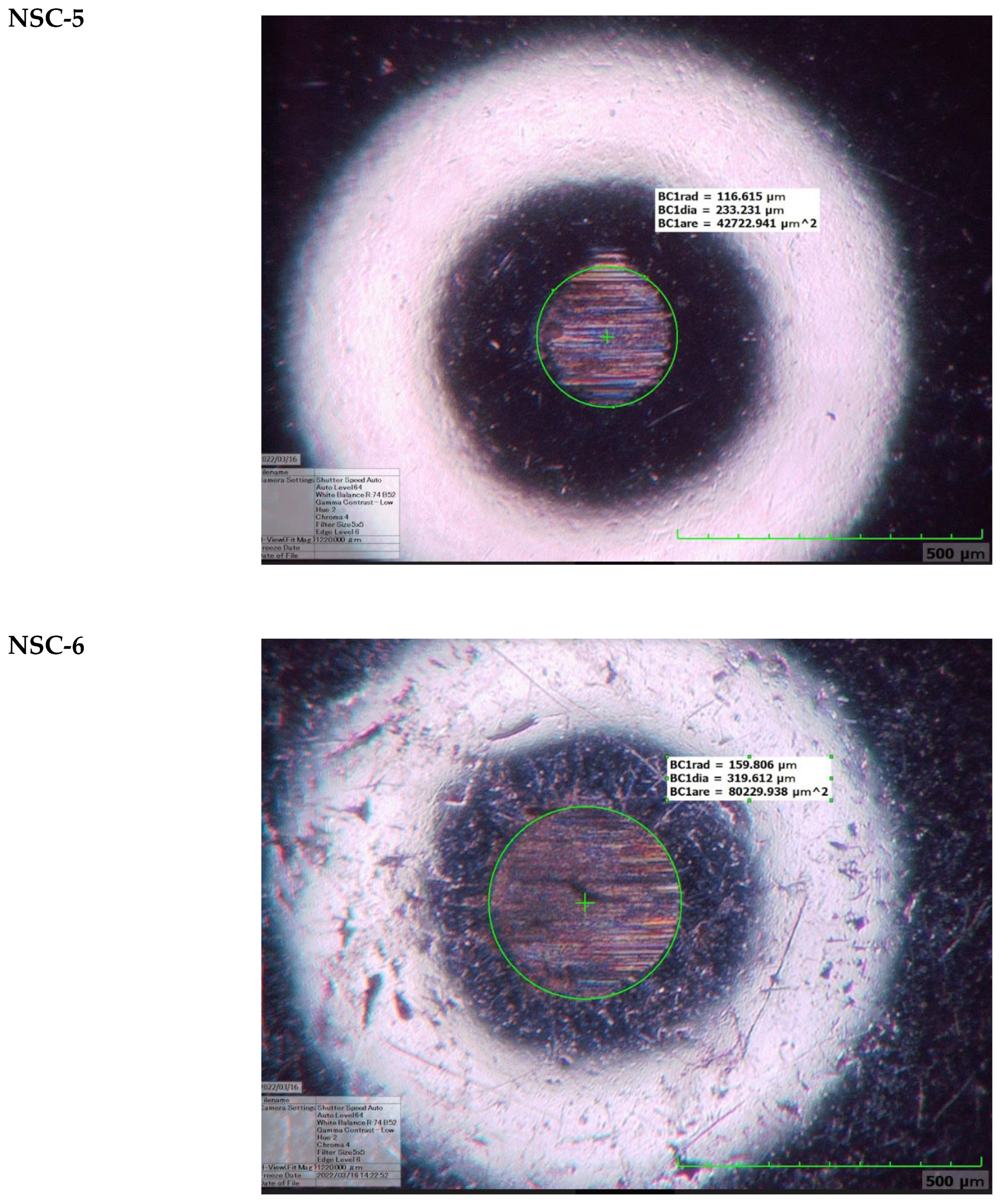 Coatings 13 00552 g0a2c