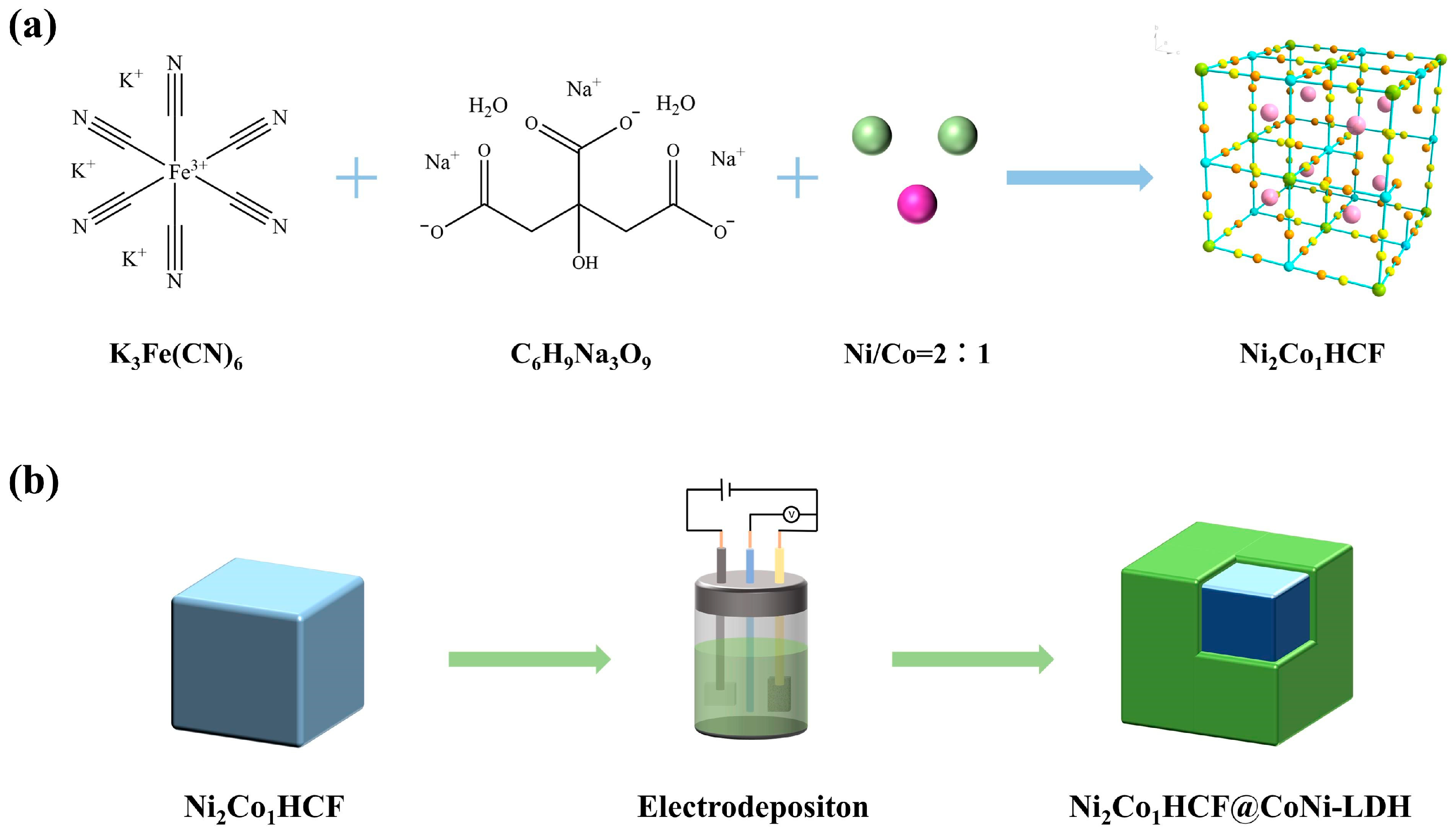 Coatings 13 00554 g001