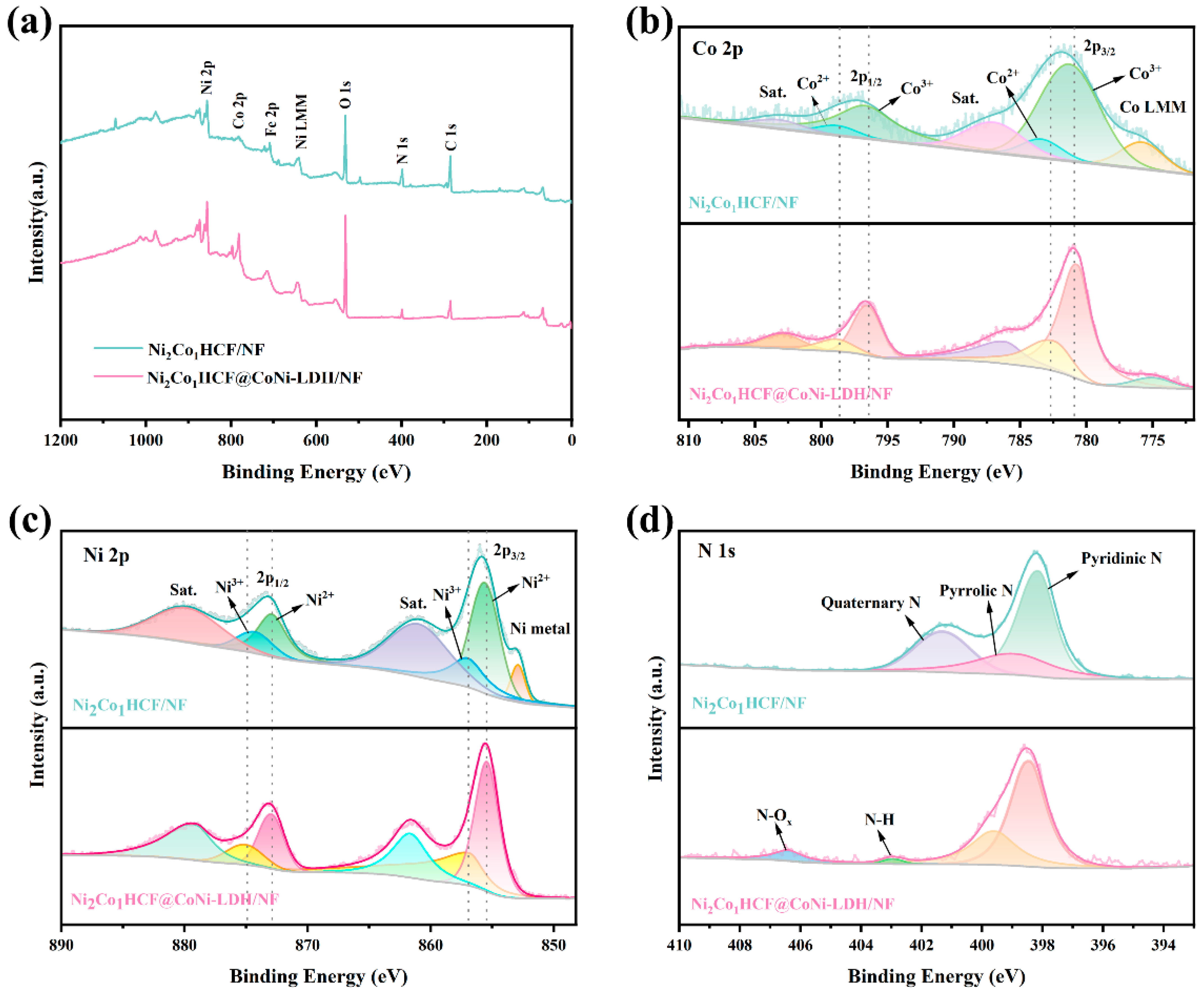 Coatings 13 00554 g004