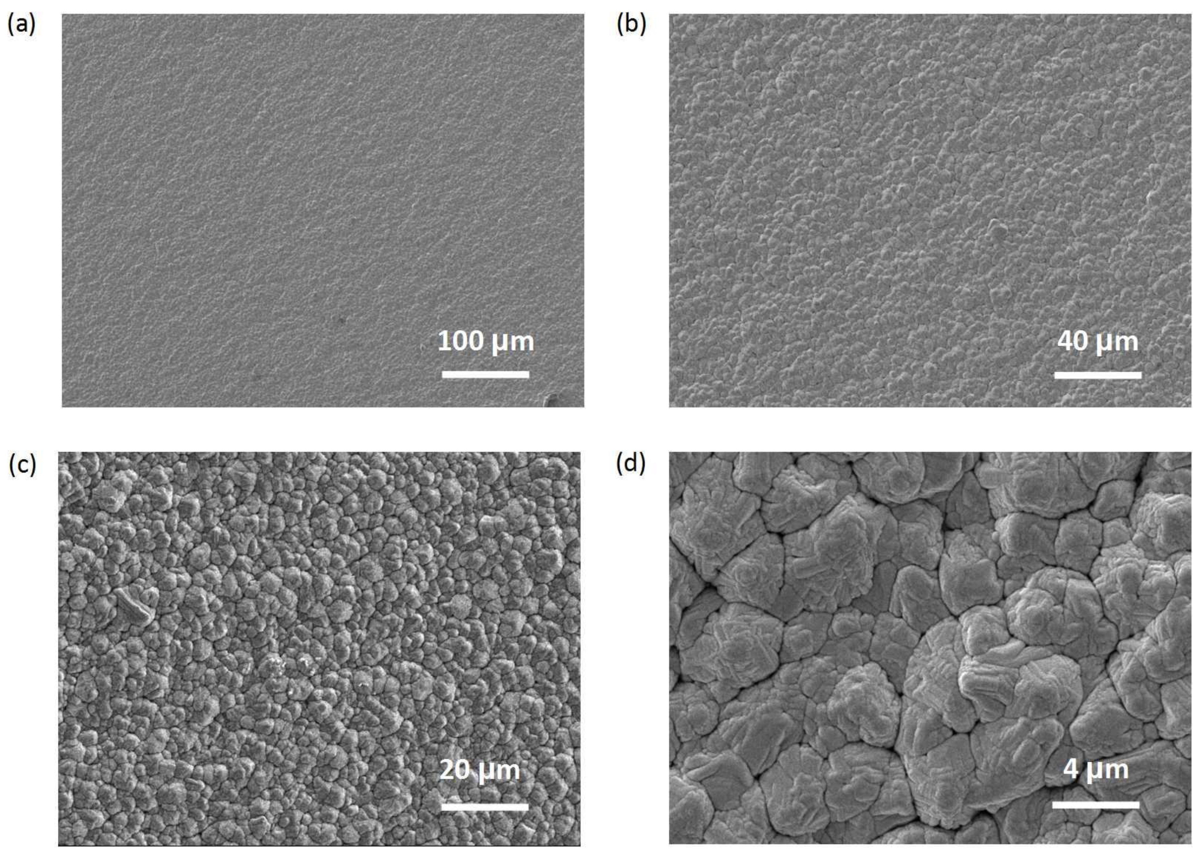 Coatings 13 00555 g004