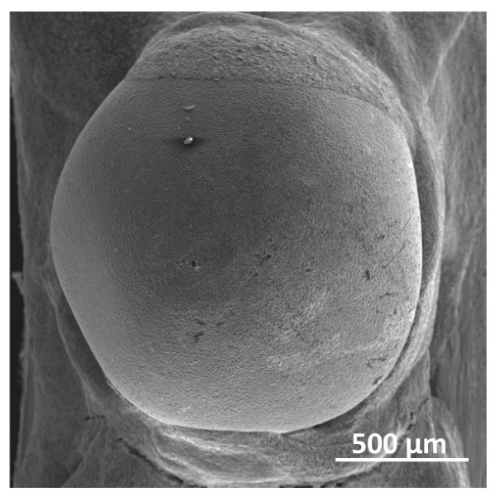 Coatings 13 00556 g005 Coatings 13 00556 g005