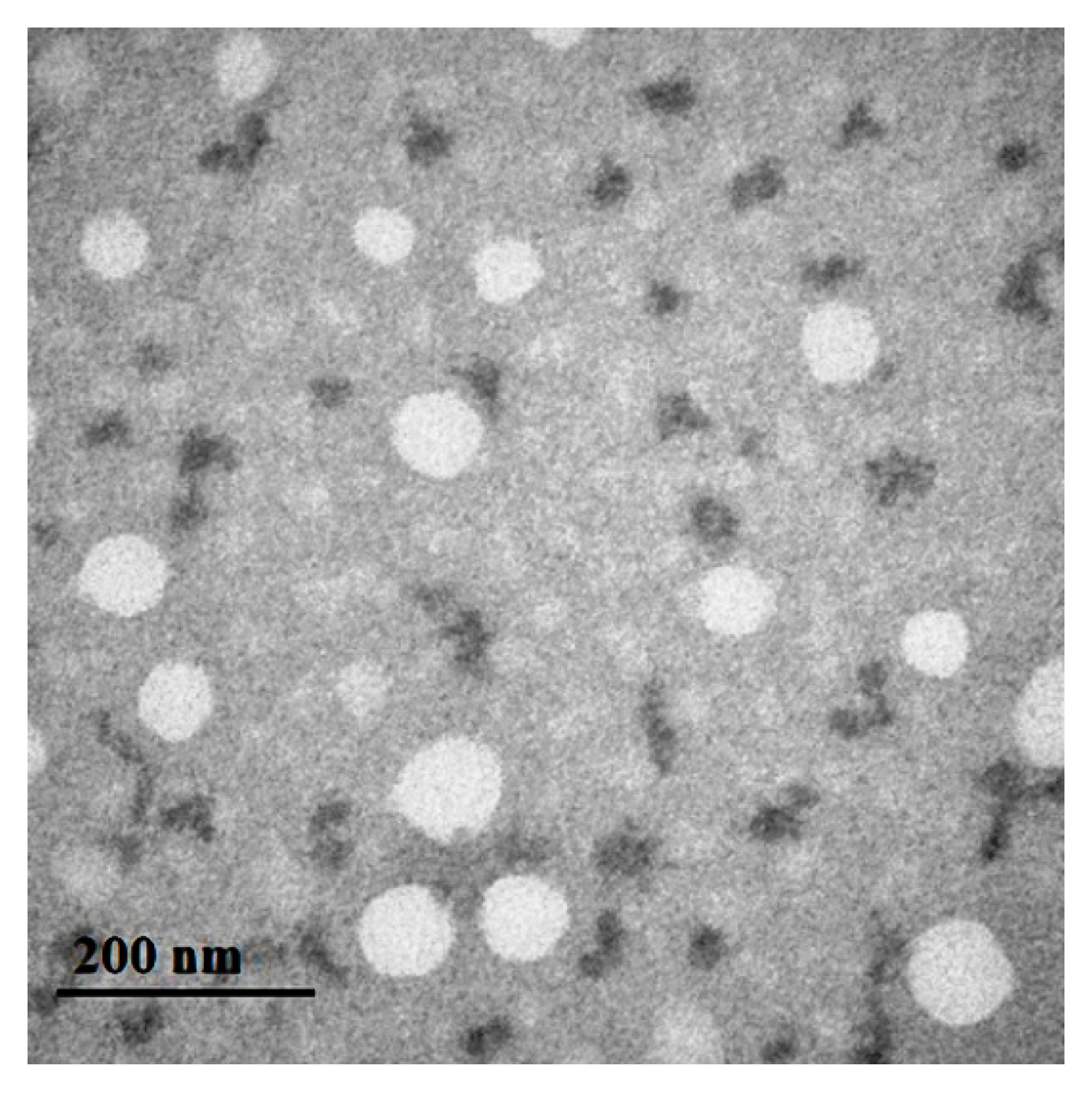 Coatings 13 00557 g003