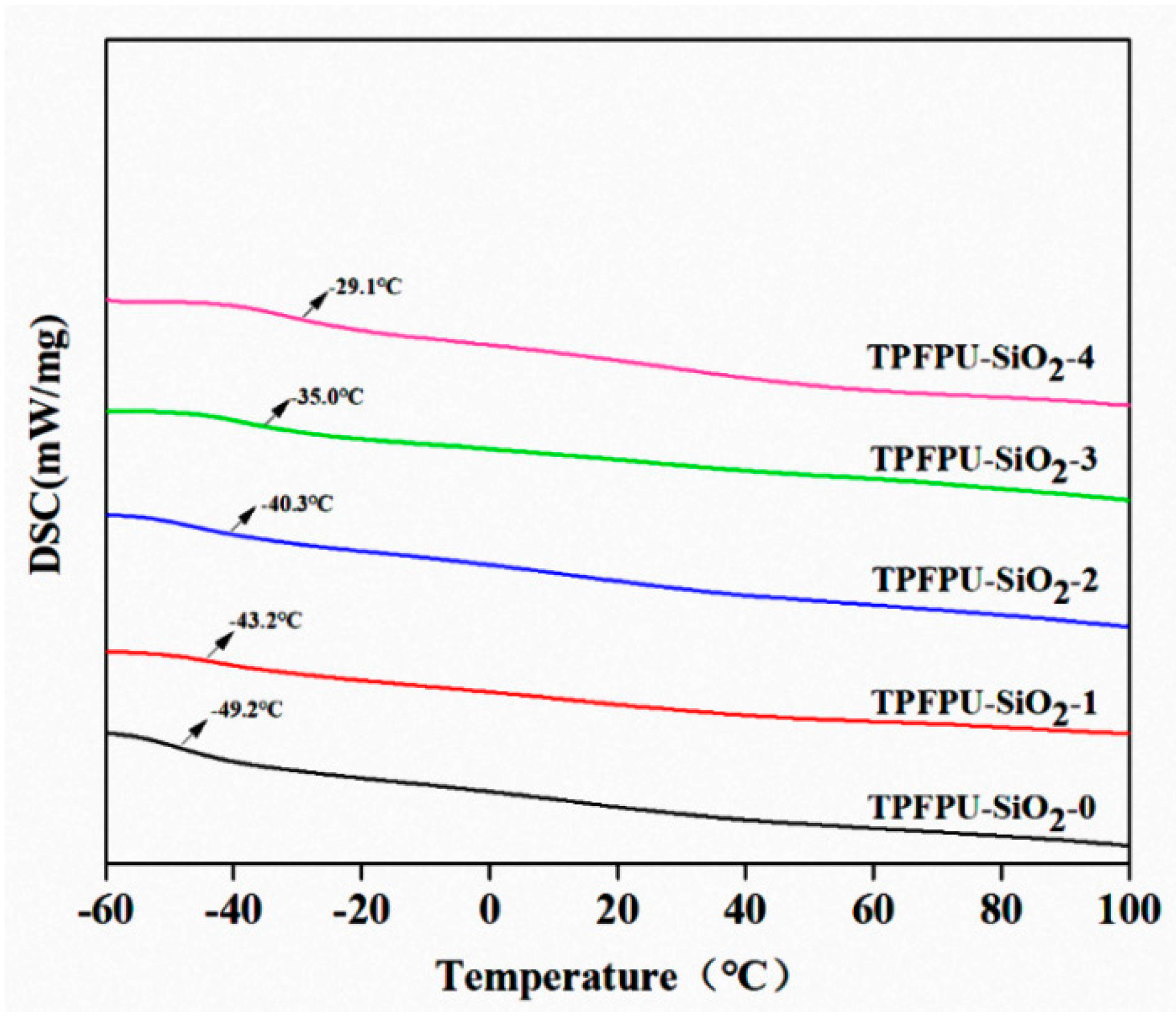 Coatings 13 00557 g005