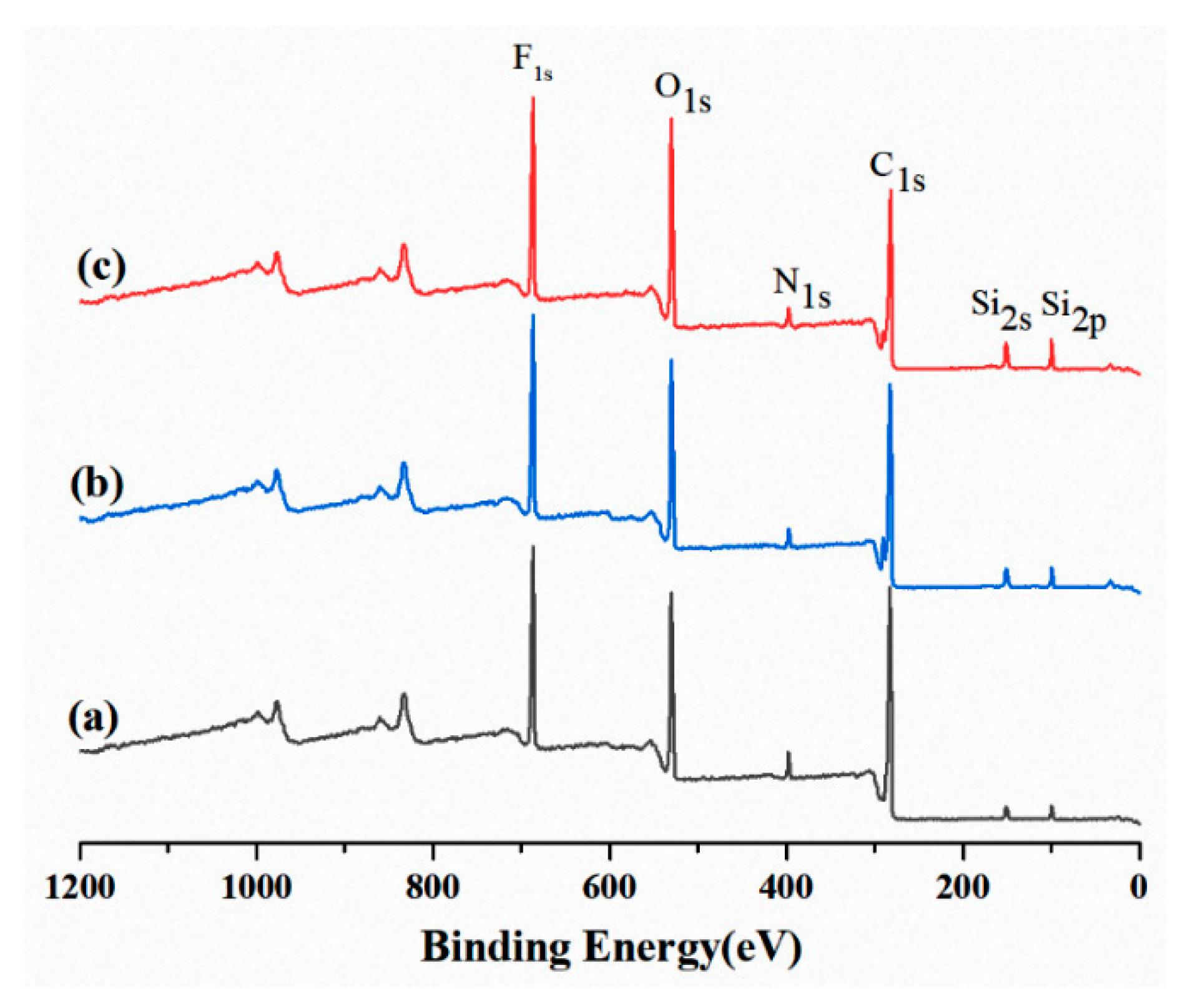 Coatings 13 00557 g007