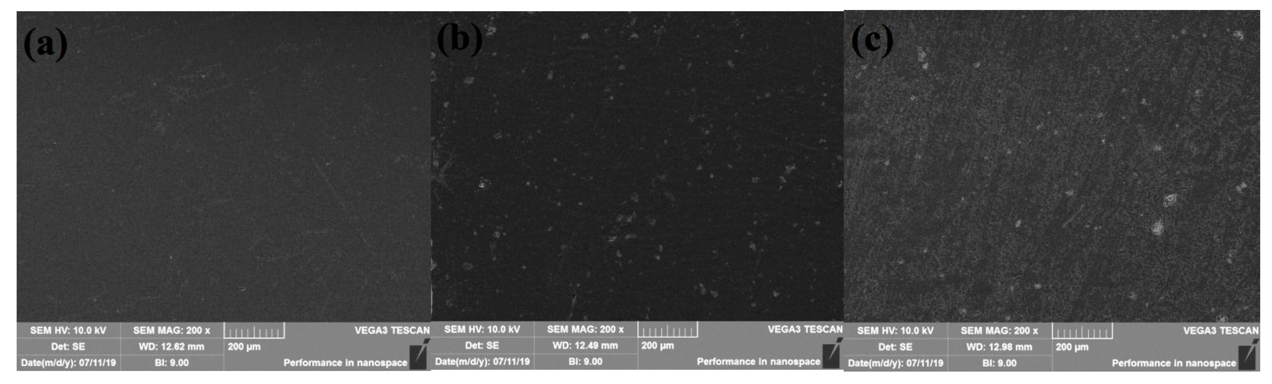 Coatings 13 00557 g008