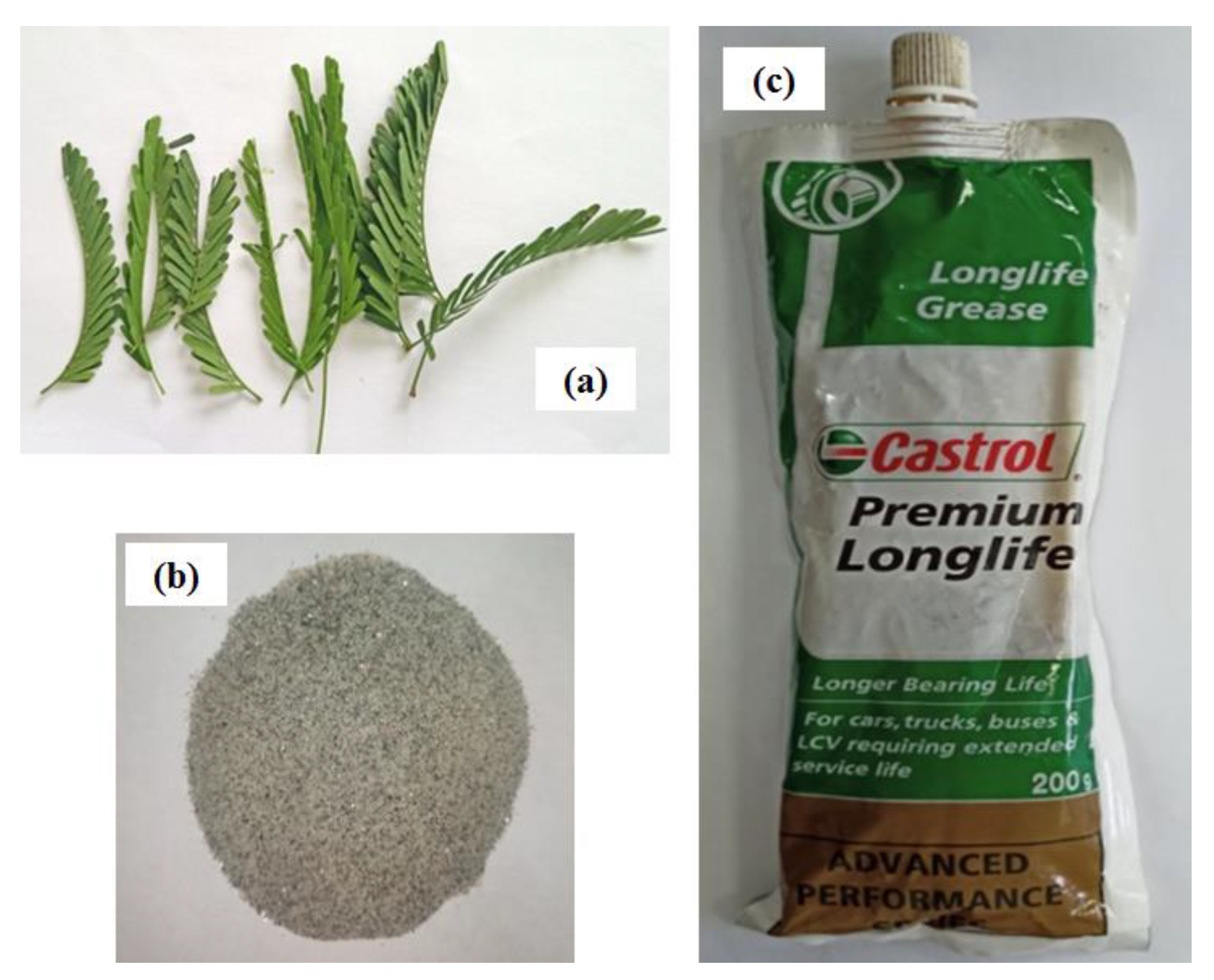 Coatings 13 00560 g004