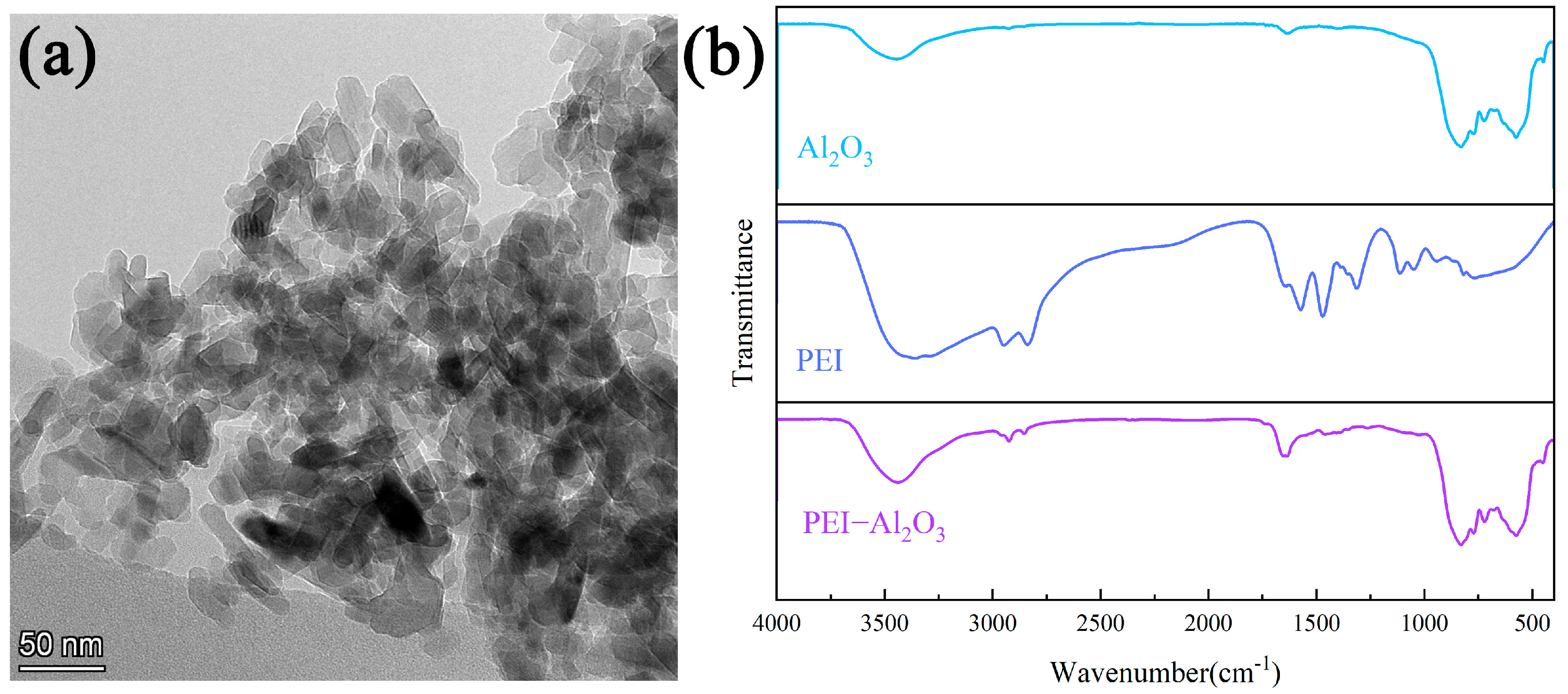 Coatings 13 00561 g001