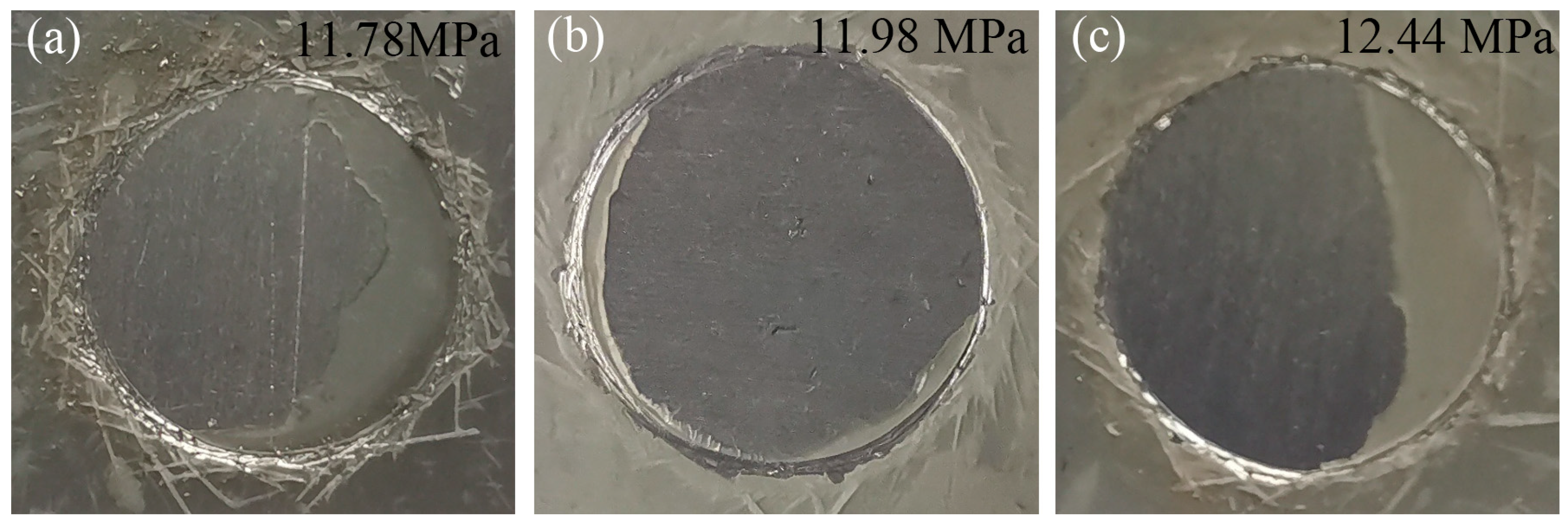Coatings 13 00561 g002