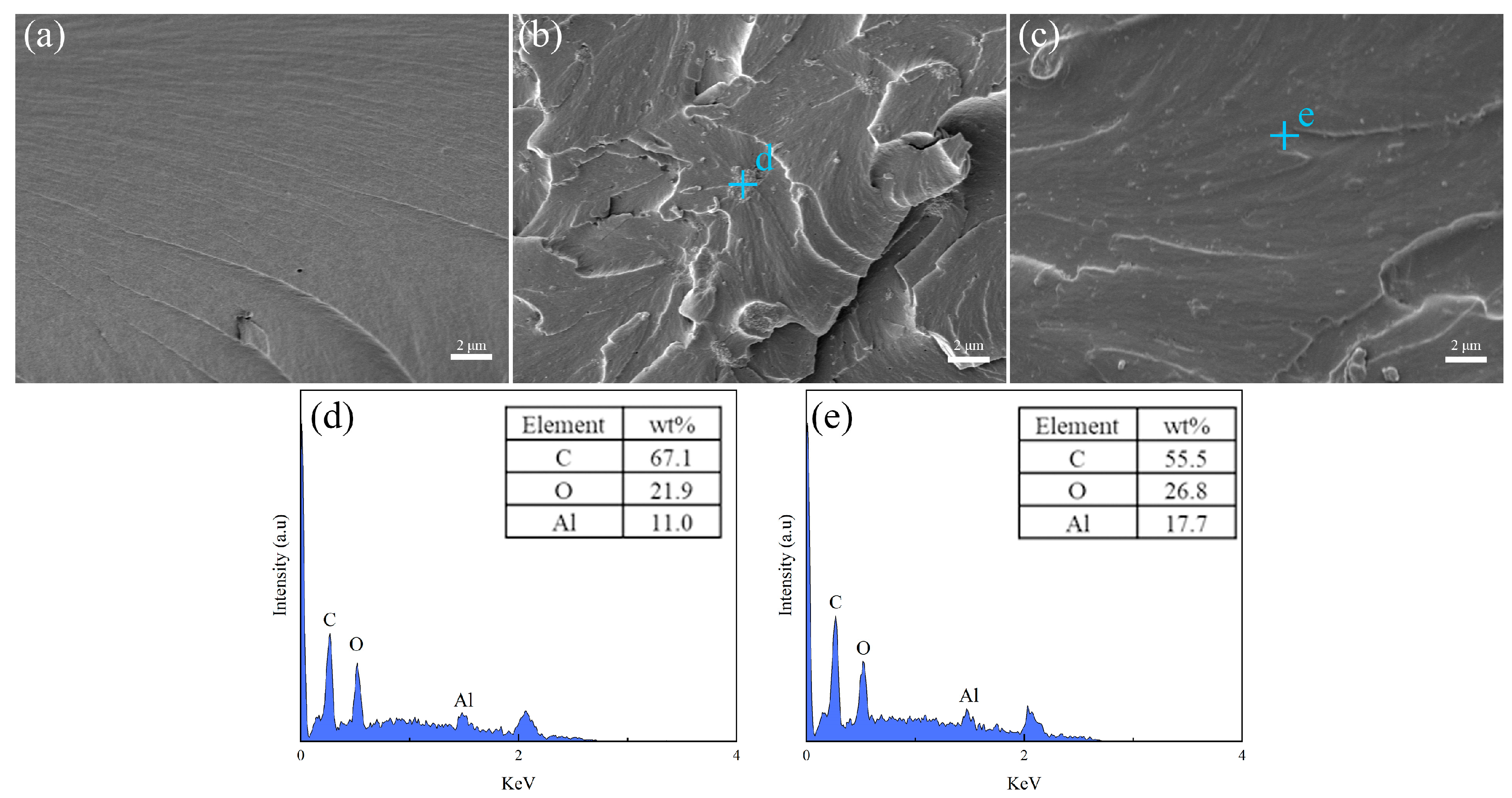 Coatings 13 00561 g003