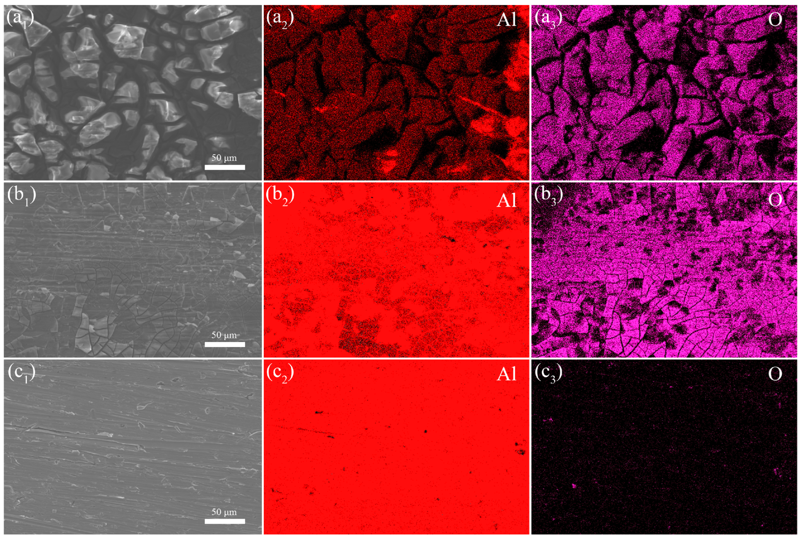 Coatings 13 00561 g008