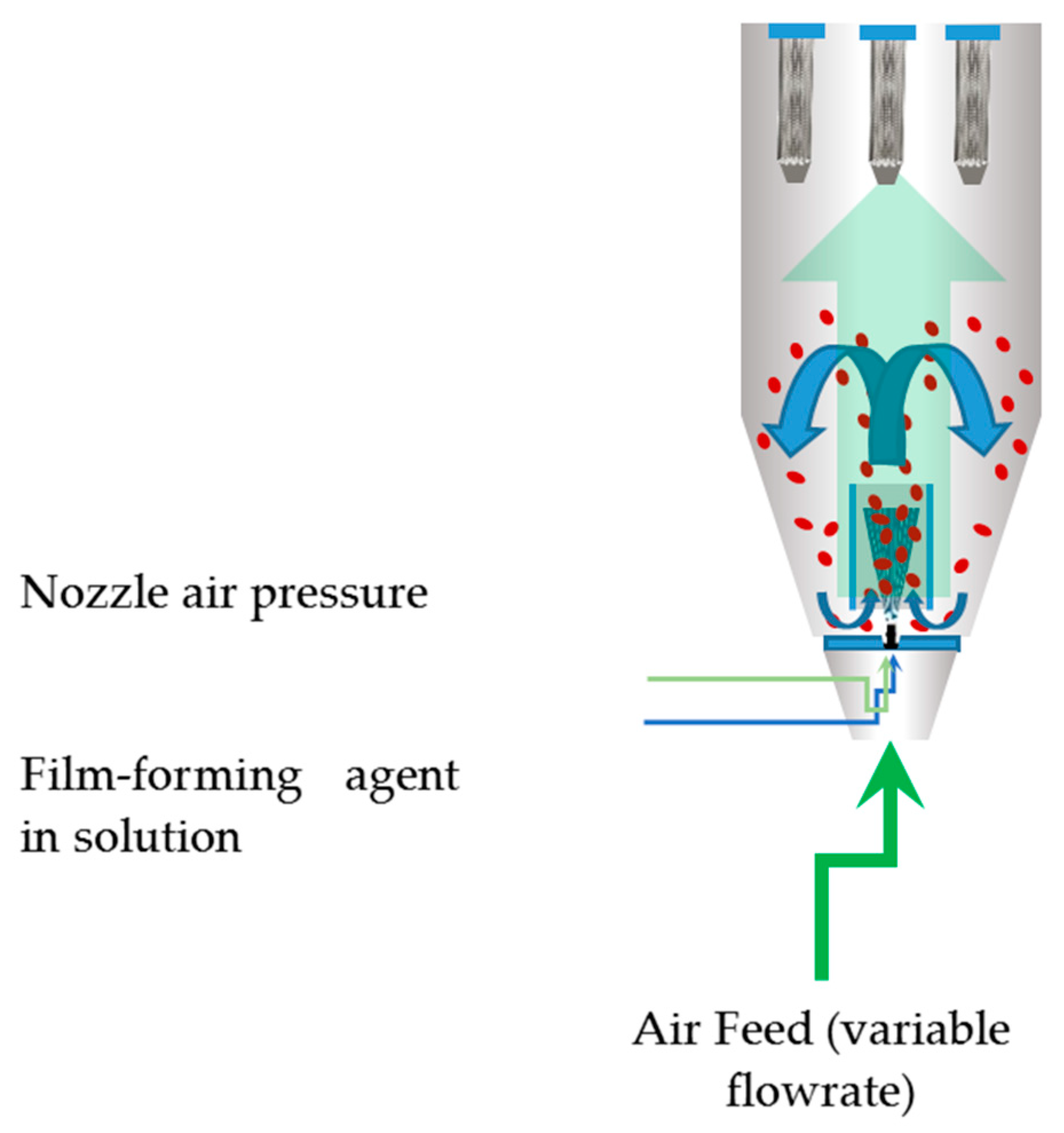Coatings 13 00562 g001