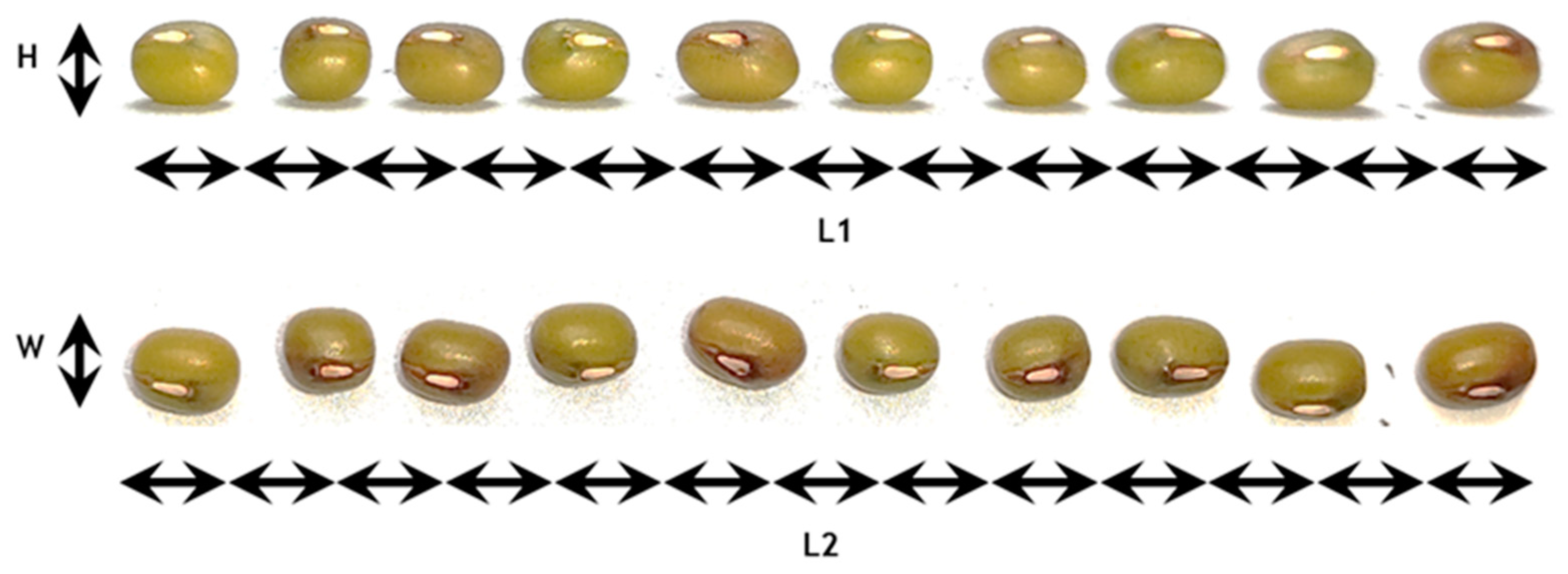 Coatings 13 00562 g003