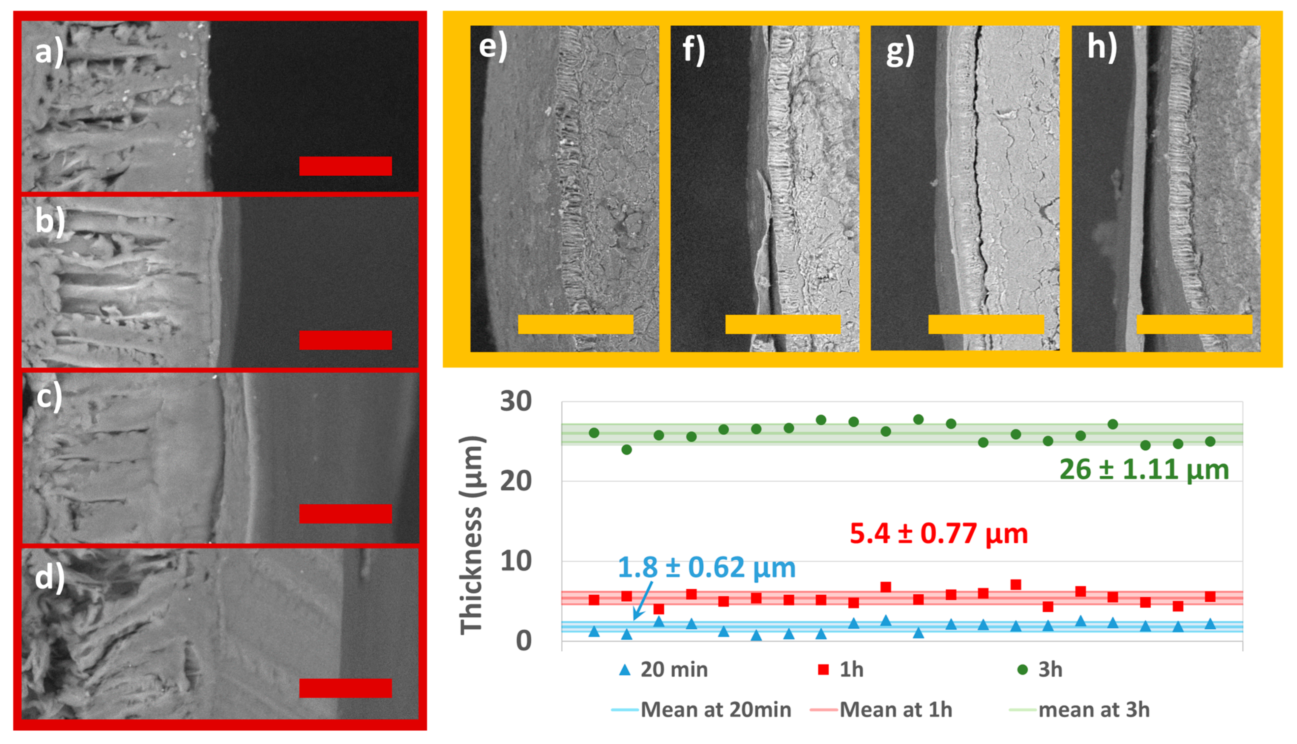 Coatings 13 00562 g006
