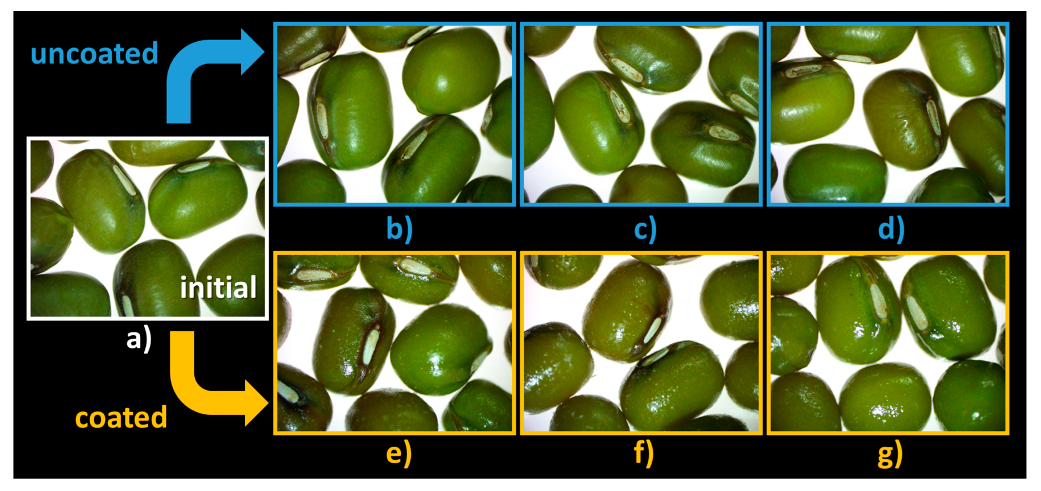 Coatings 13 00562 g007