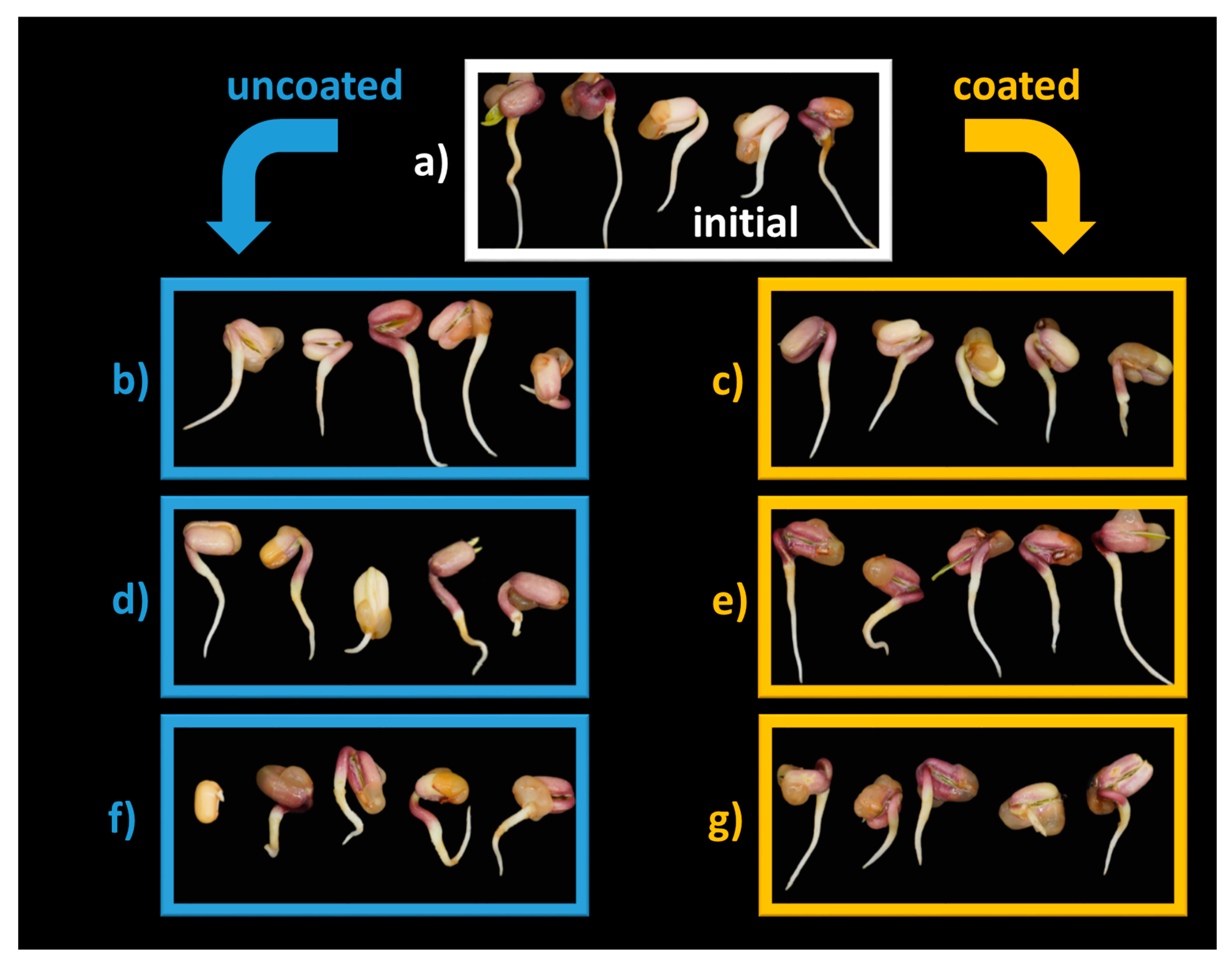 Coatings 13 00562 g008