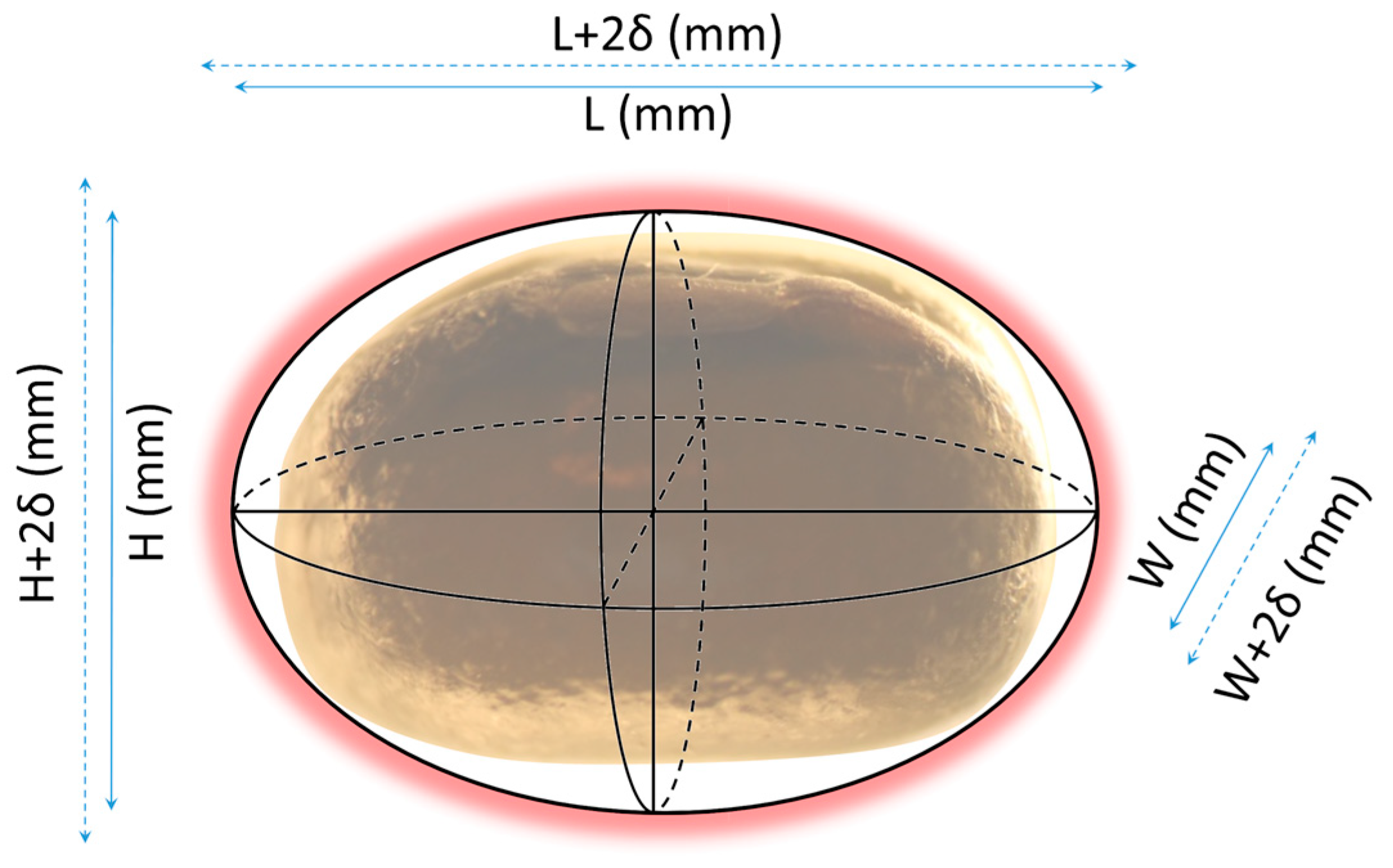 Coatings 13 00562 g010