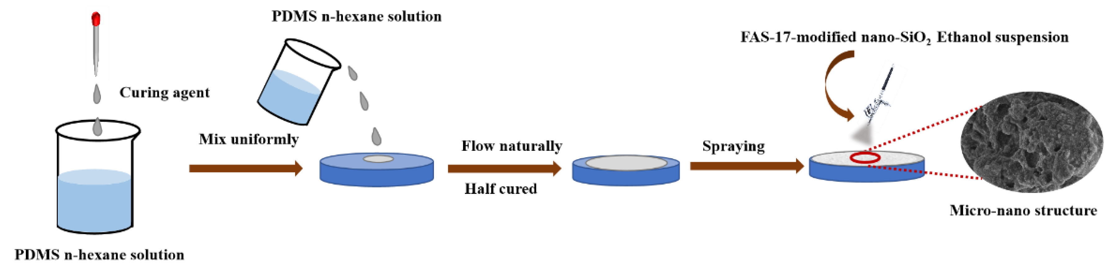 Coatings 13 00563 g002