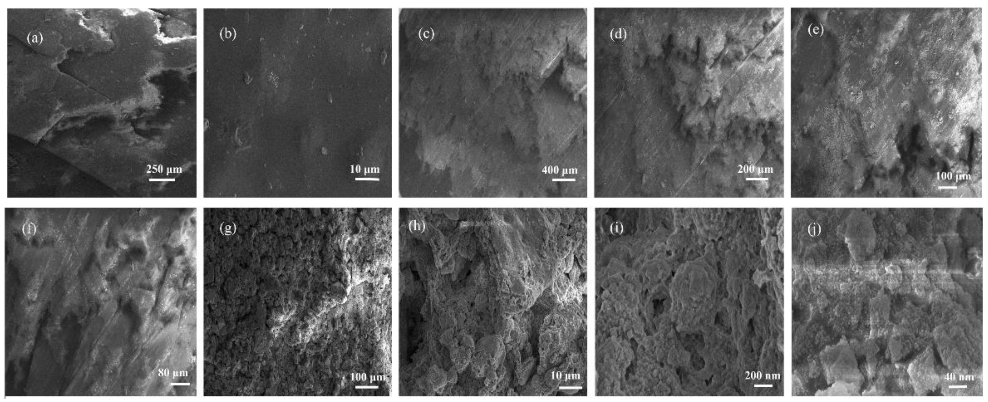 Coatings 13 00563 g003