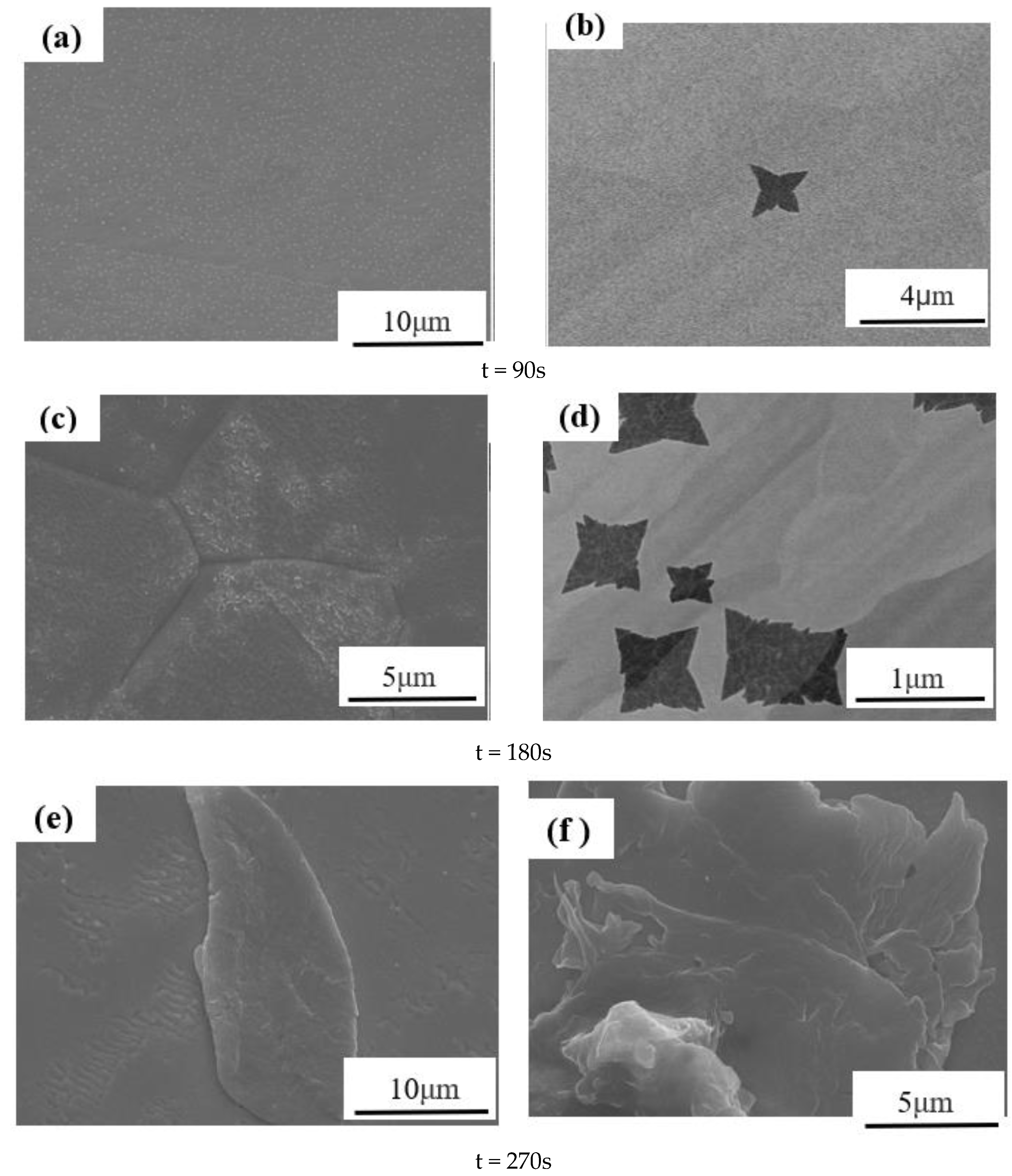 Coatings 13 00564 g014