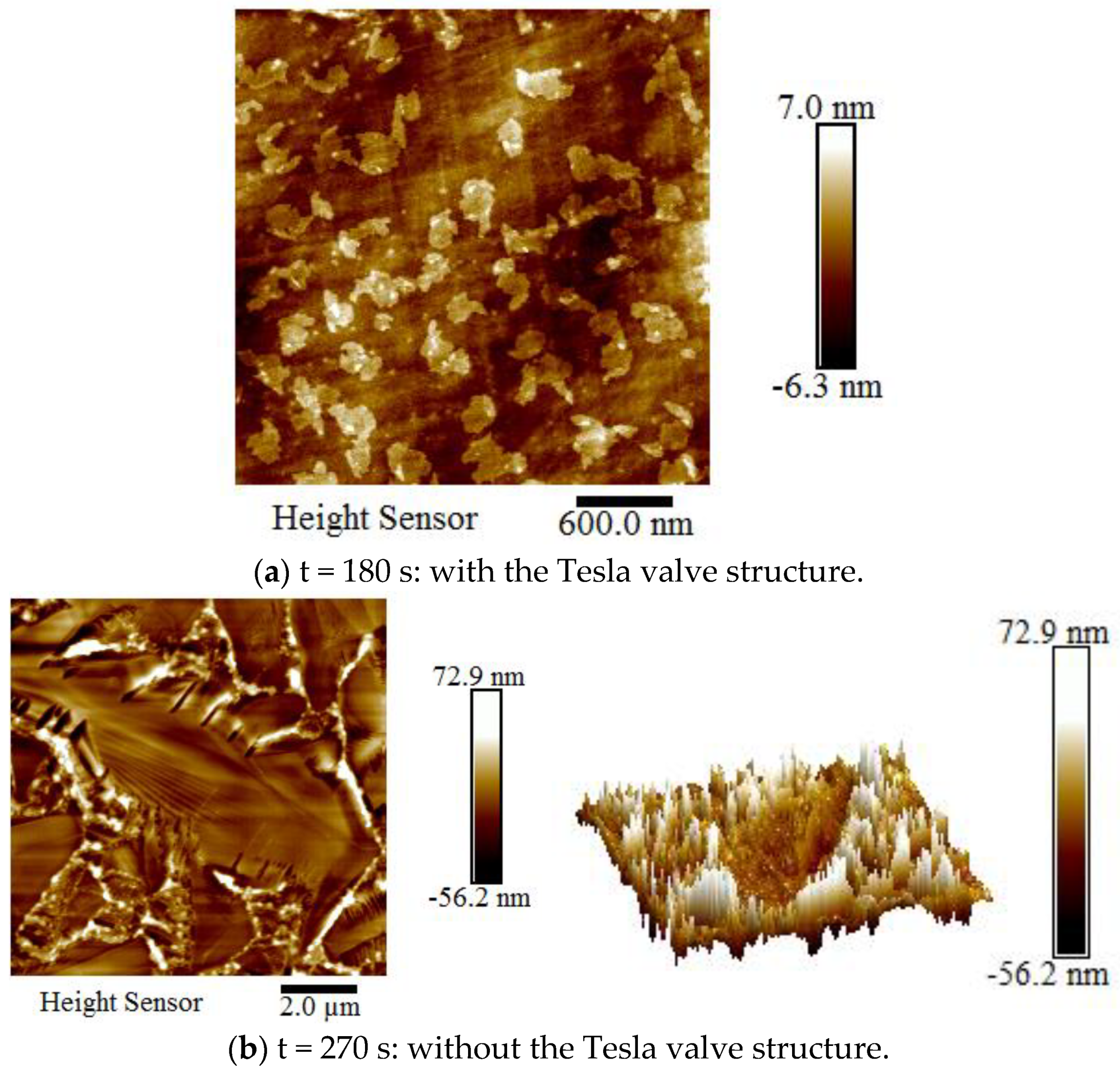Coatings 13 00564 g016a