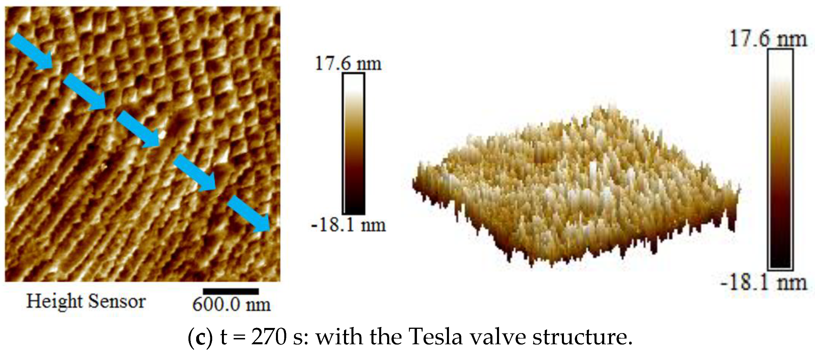 Coatings 13 00564 g016b