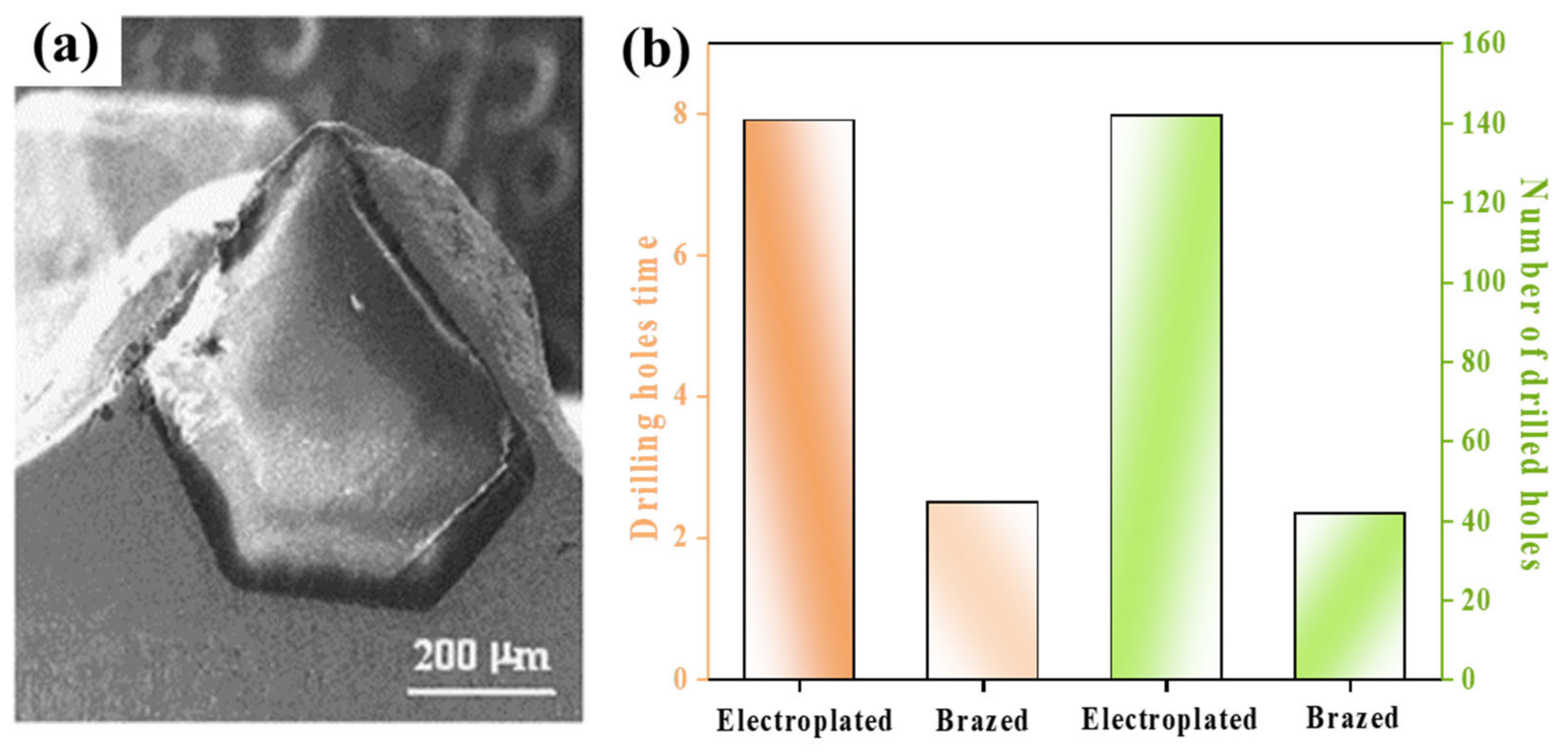 Coatings 13 00565 g005