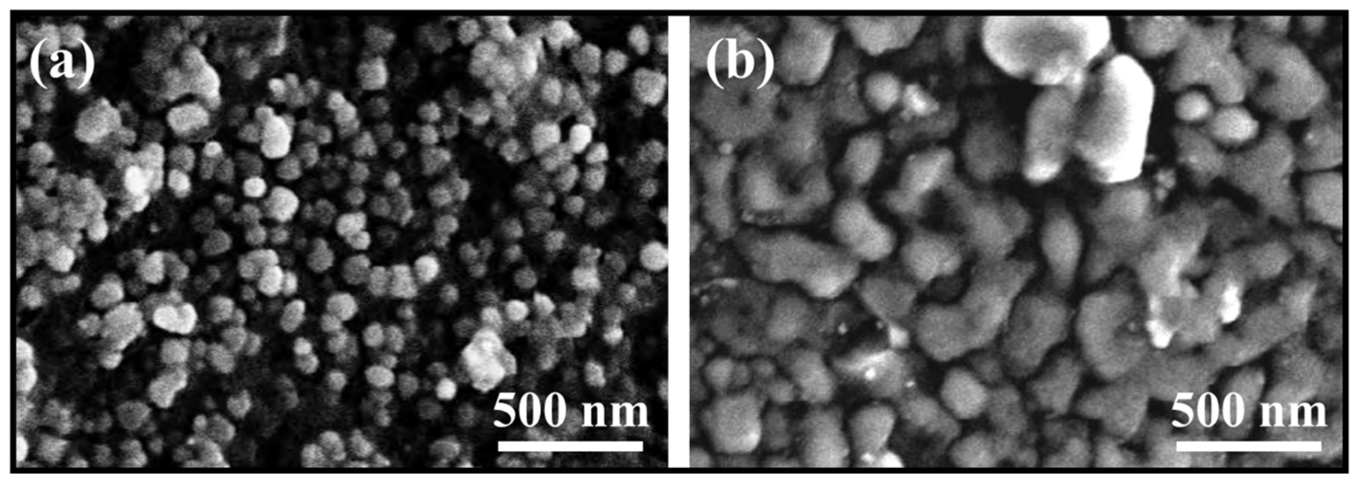 Coatings 13 00565 g012