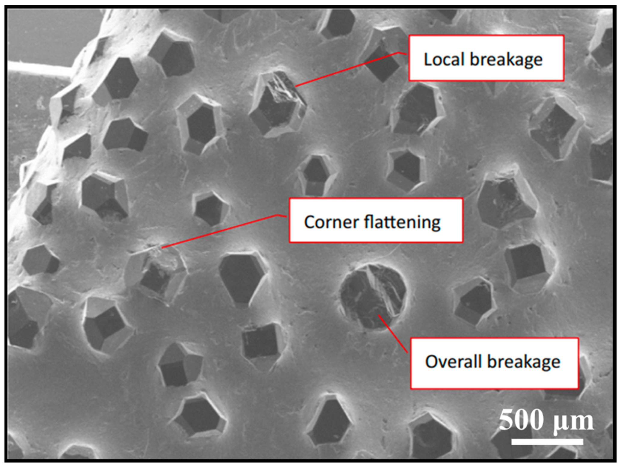 Coatings 13 00565 g015